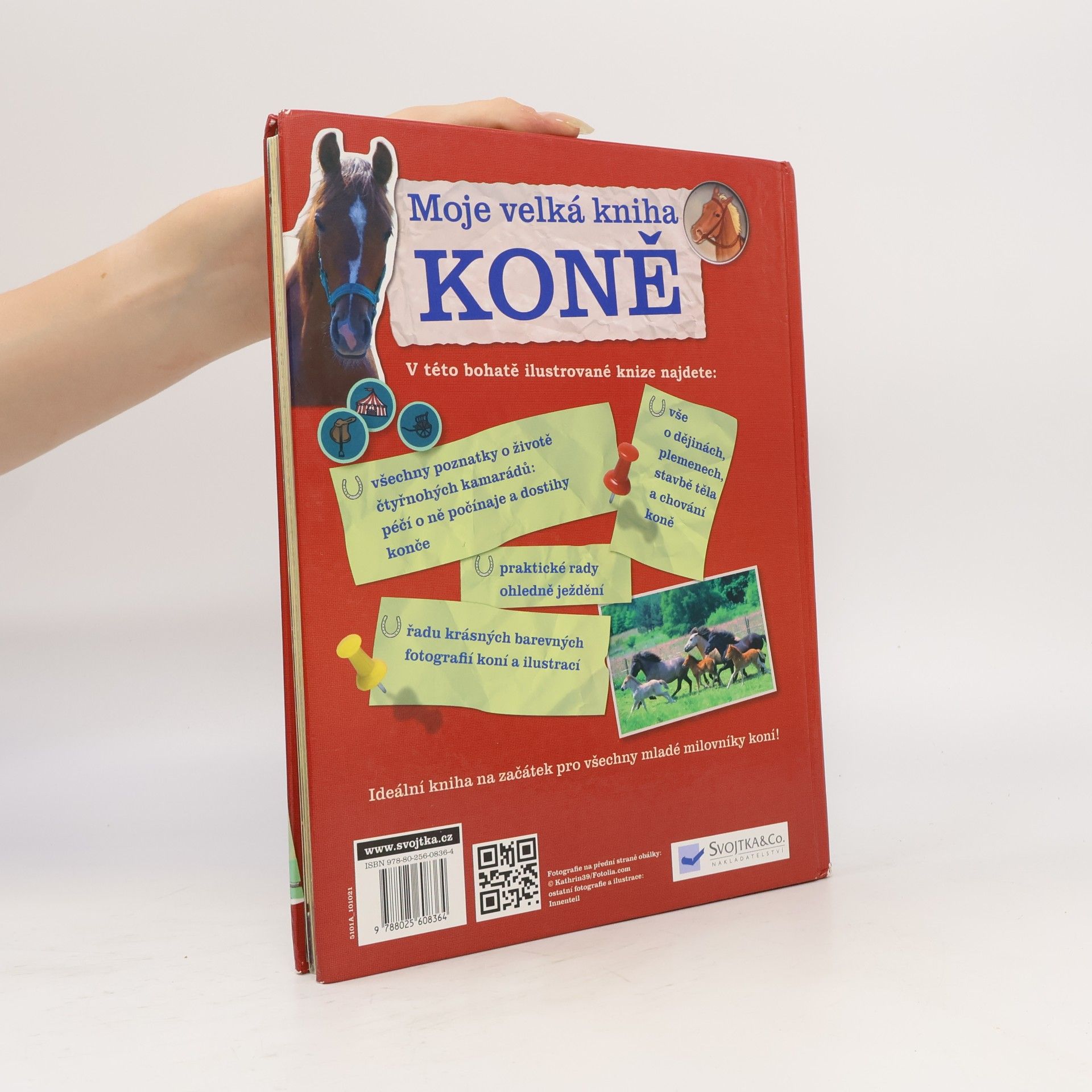 Giada Riondino Moje velká kniha: Koně