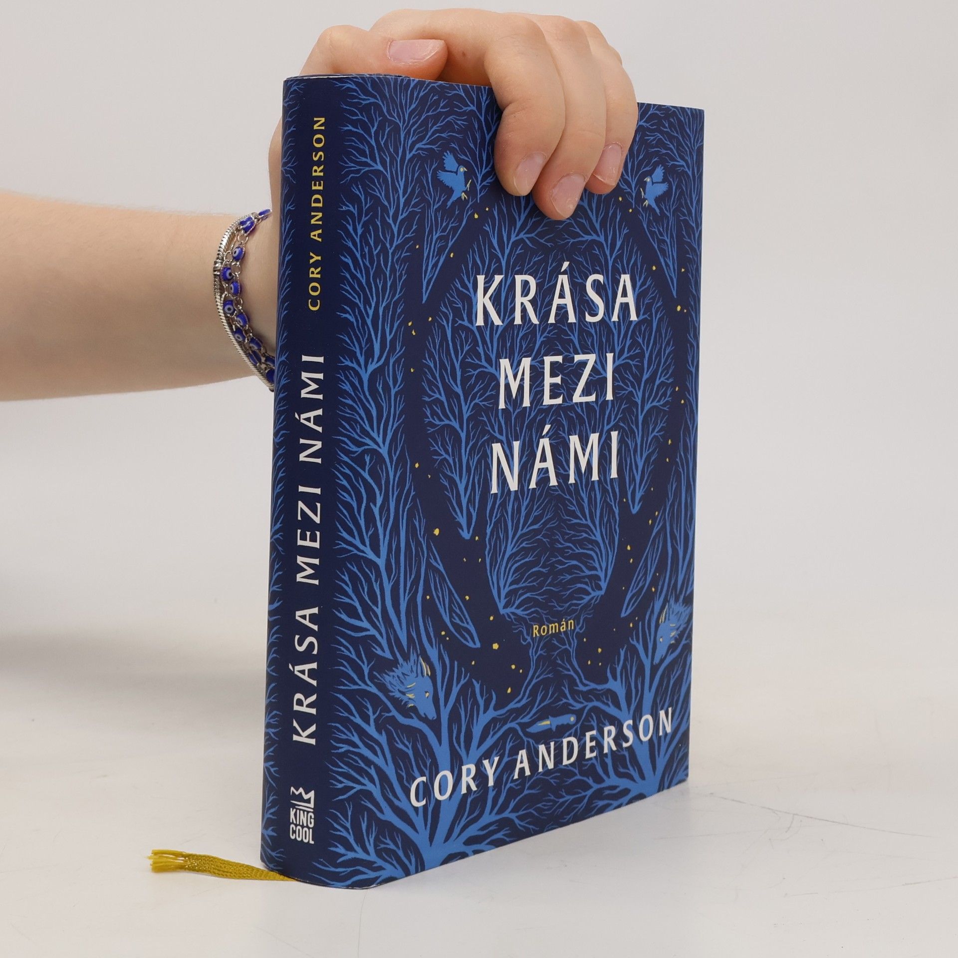Cory L. Anderson Krása mezi námi
