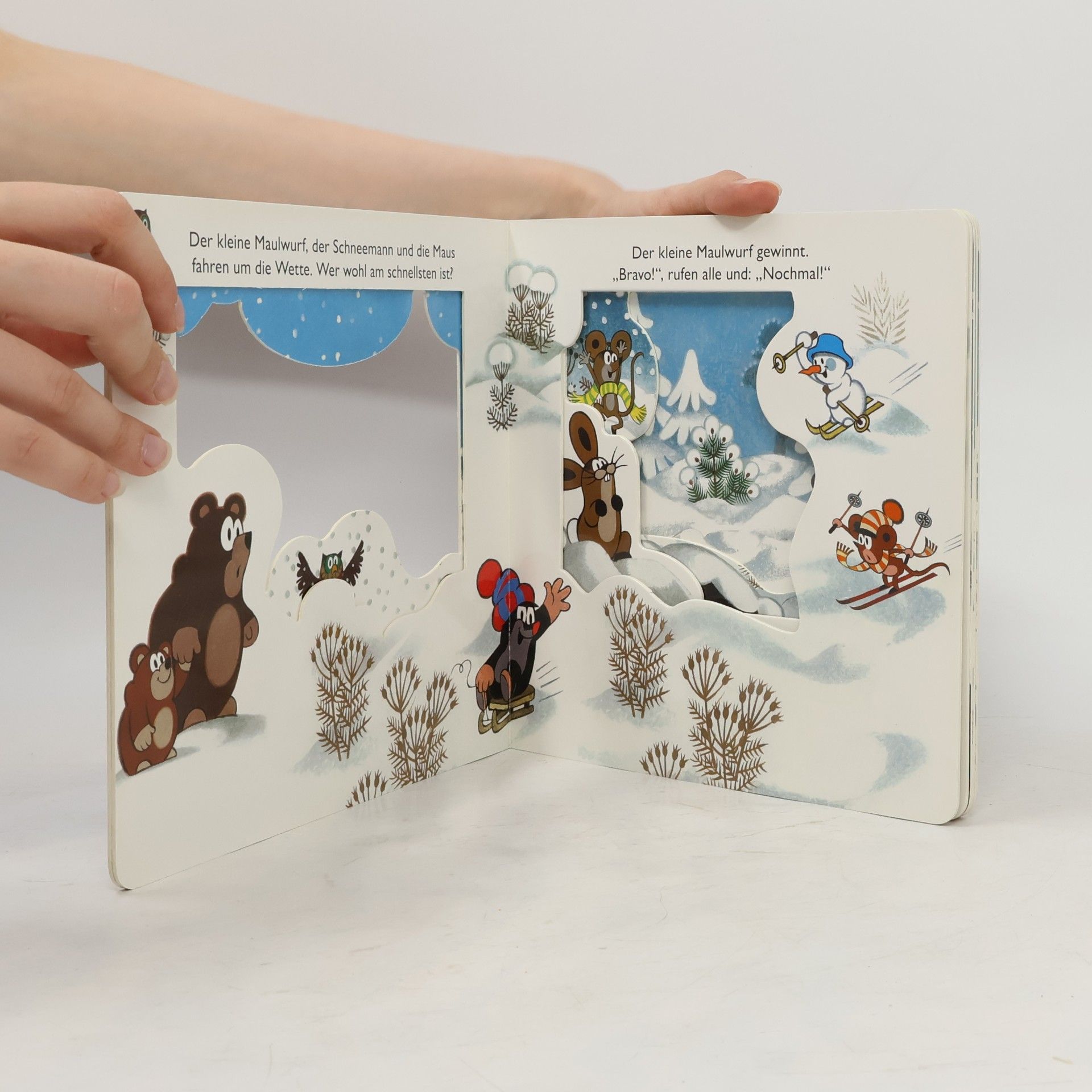 Trötsch Verlag Trötsch Der kleine Maulwurf Winter-Fensterbuch