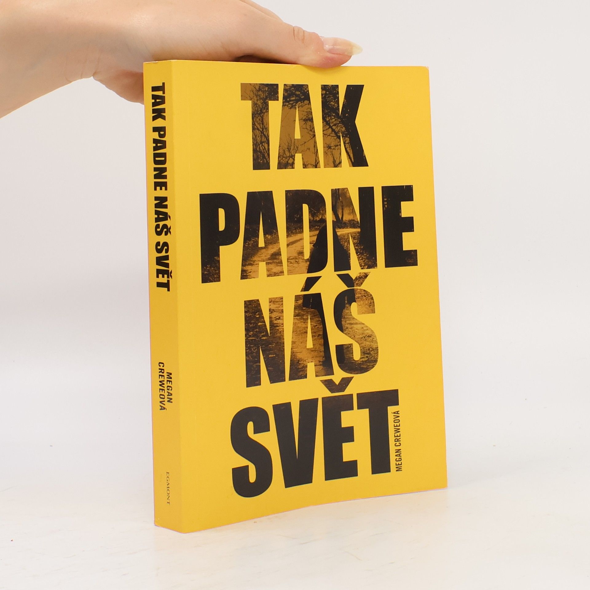 Megan Crewe Tak padne náš svět