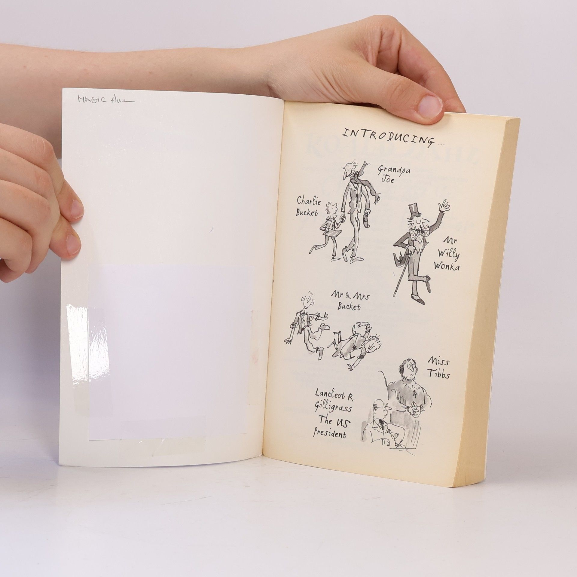 Roald Dahl Charlie and the Great Glass Elevator