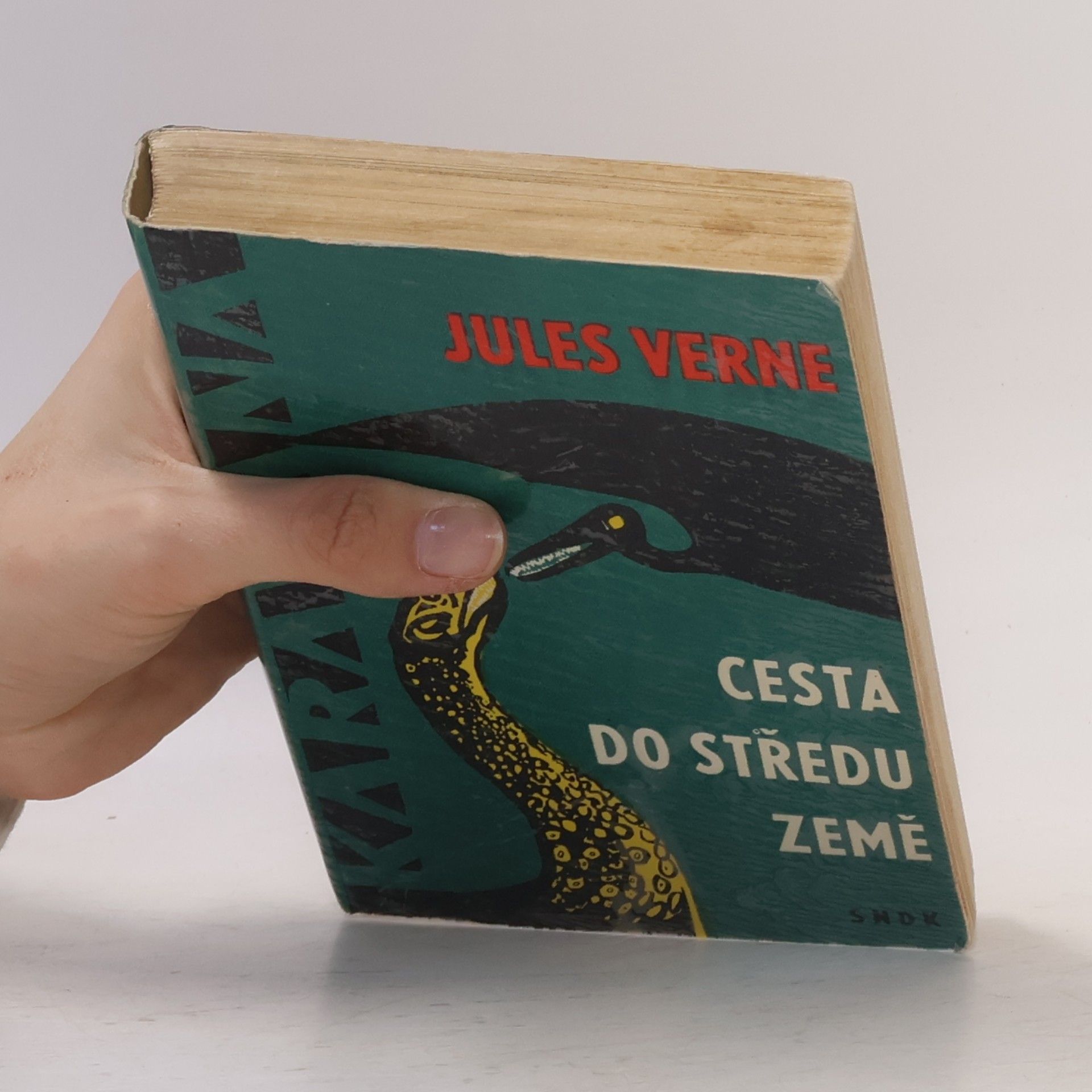 Jules Verne Cesta do středu Země
