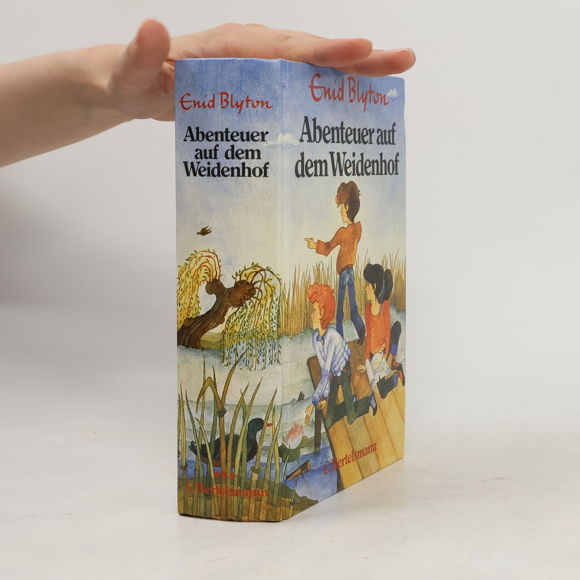 Enid Blyton Abenteuer auf dem Weidenhof