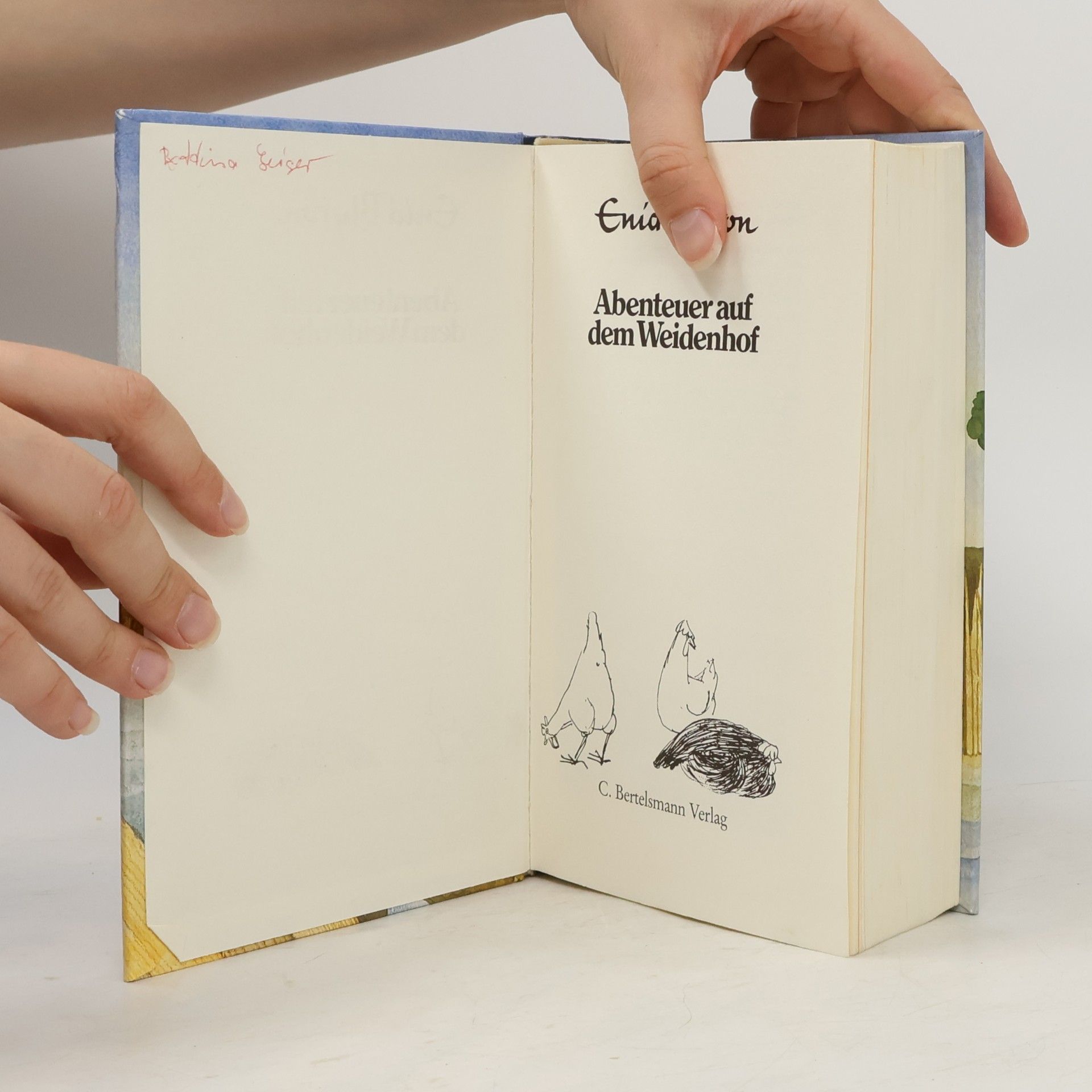 Enid Blyton Abenteuer auf dem Weidenhof
