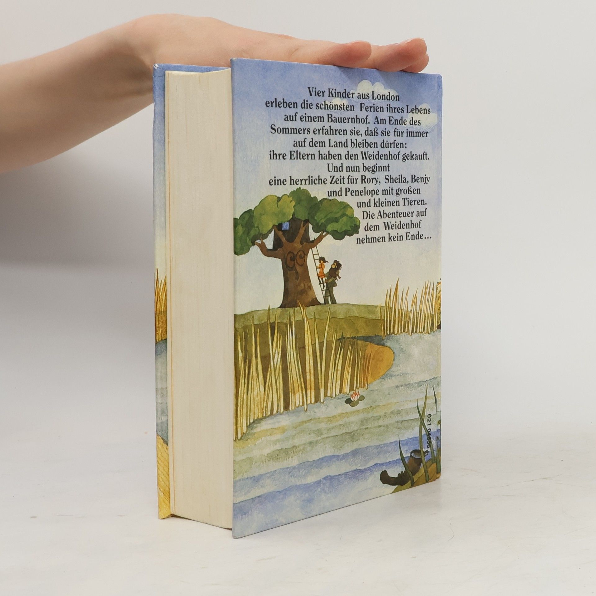 Enid Blyton Abenteuer auf dem Weidenhof