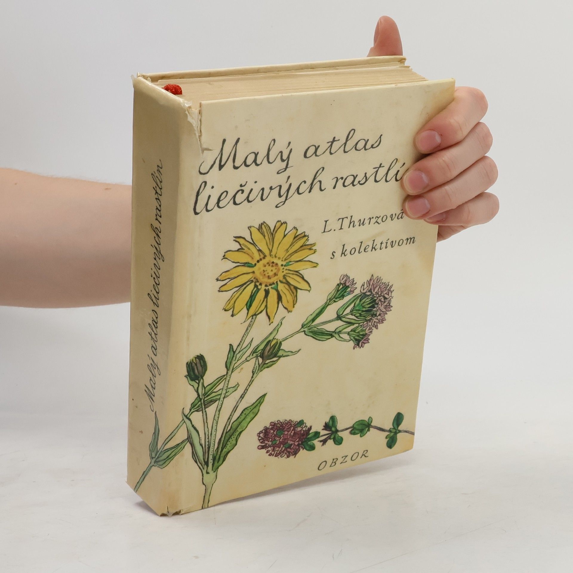 L. Thurzová Malý atlas liečivých rastlín