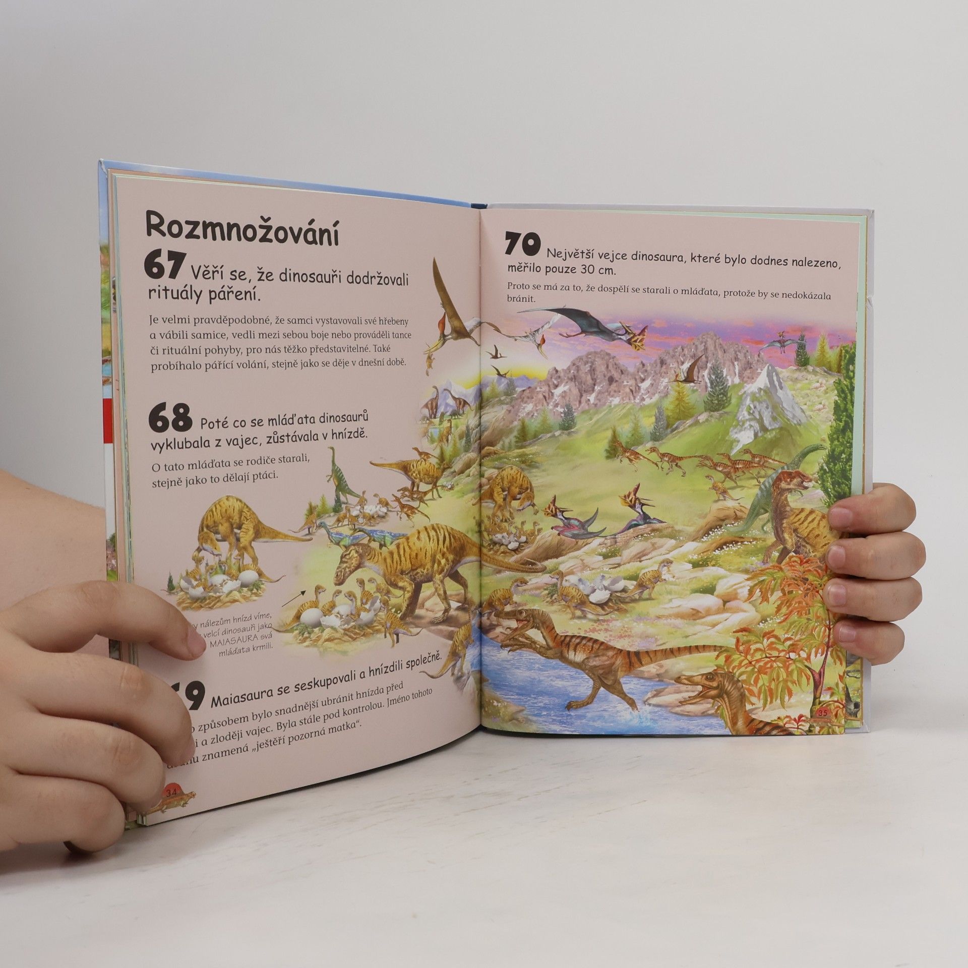 Various authors Proč? Jak? - Dinosauři