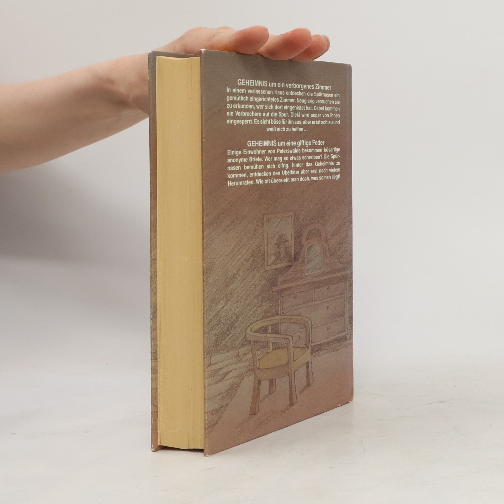 Enid Blyton Geheimnis um ein verborgenes Zimmer um eine giftige Feder