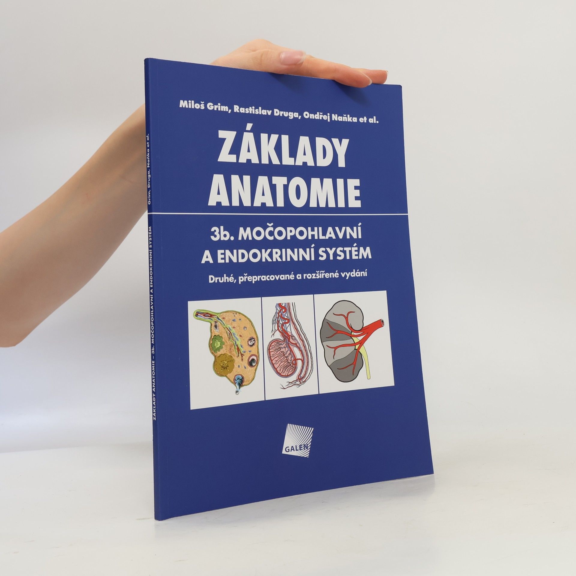 Jan Kacvinský Základy anatomie. 3b., Močopohlavní a endokrinní systém