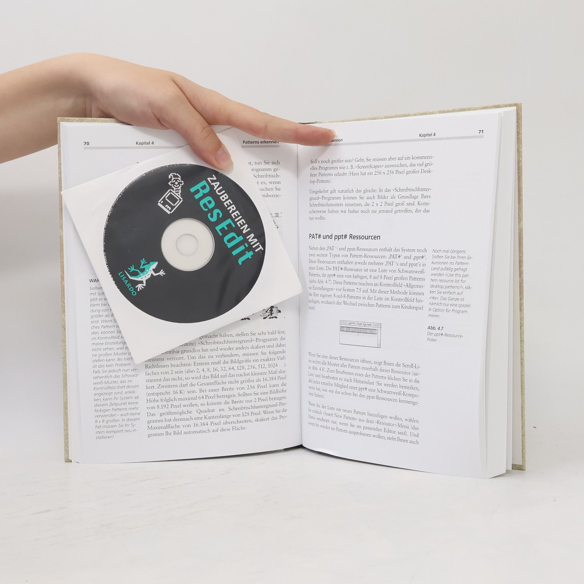 Derrick Schneider Zaubereien mit ResEdit, m. CD-ROM