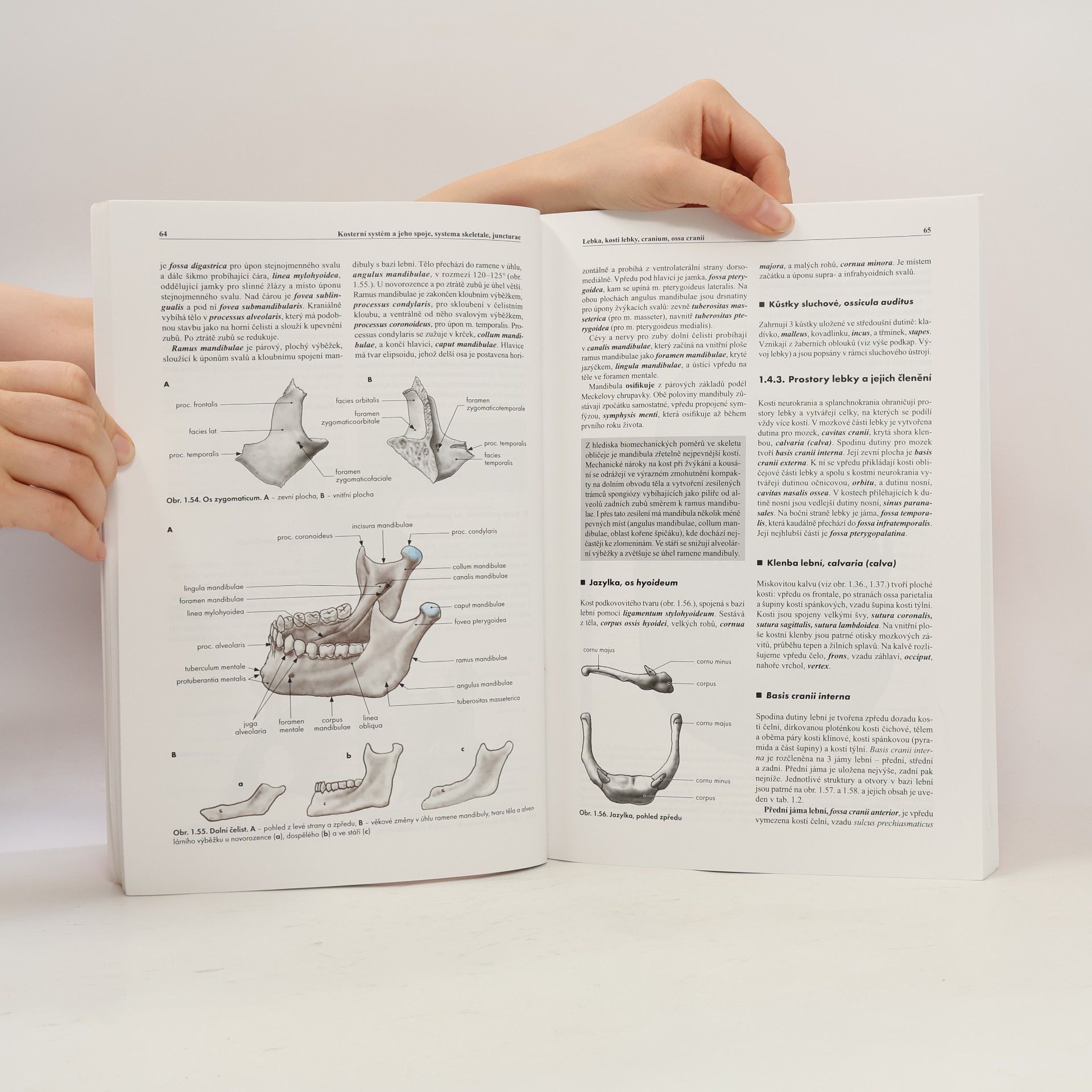 Miloš Grim Základy anatomie. 1., Obecná anatomie a pohybový systém