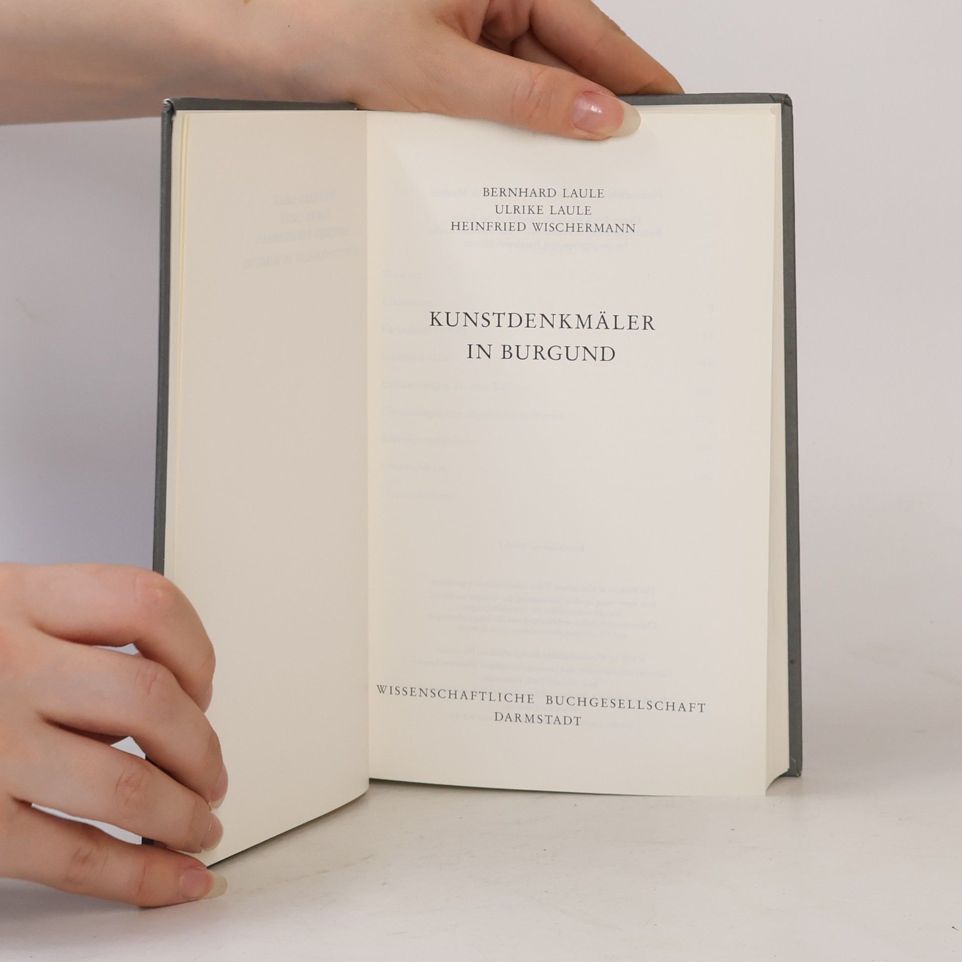 Kolektív autorov Kunstdenkmäler in Burgund