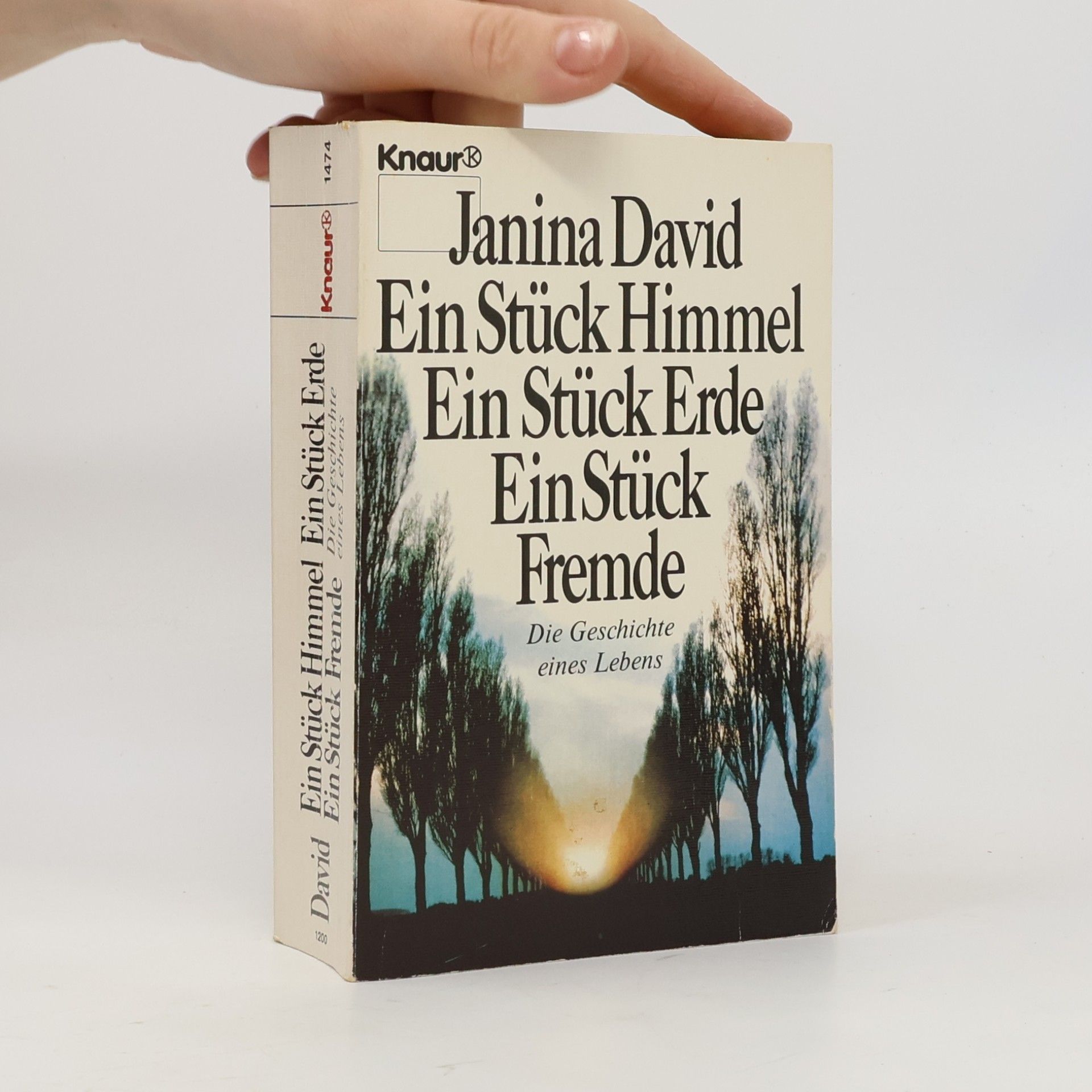Janina David Ein Stück Himmel