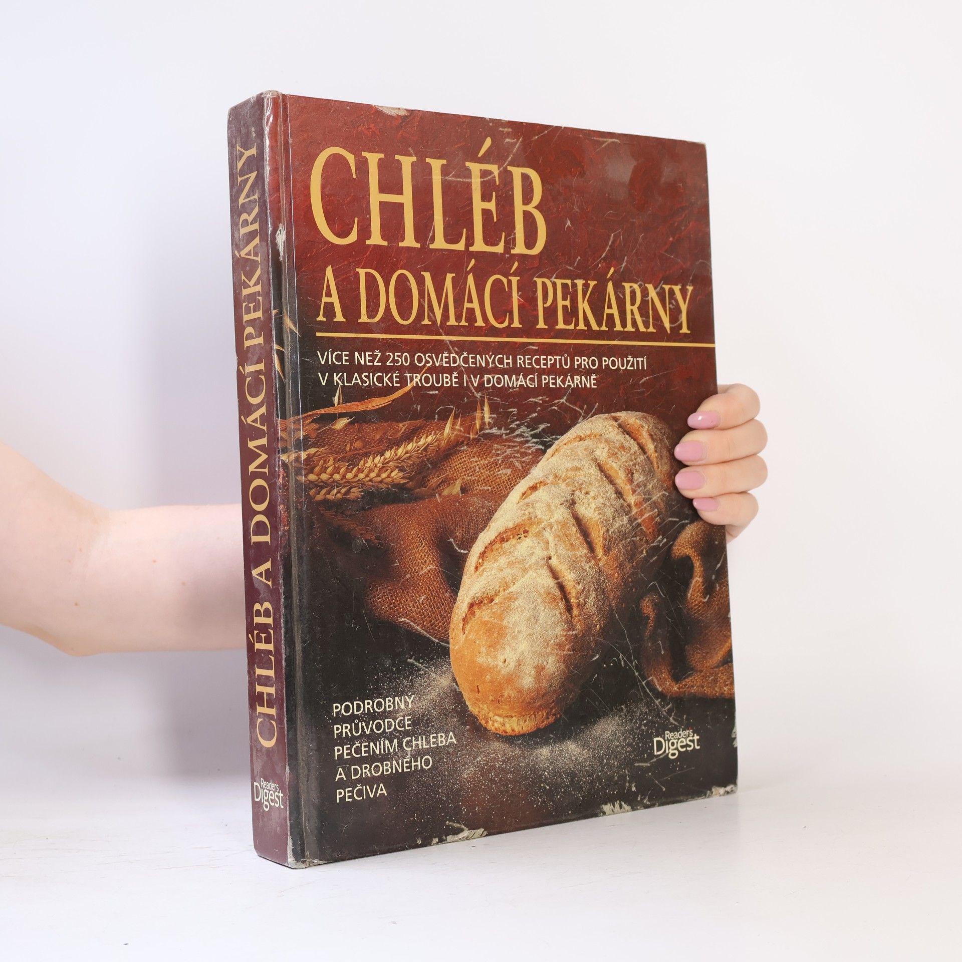 Collectif d'auteurs Chléb a domácí pekárny
