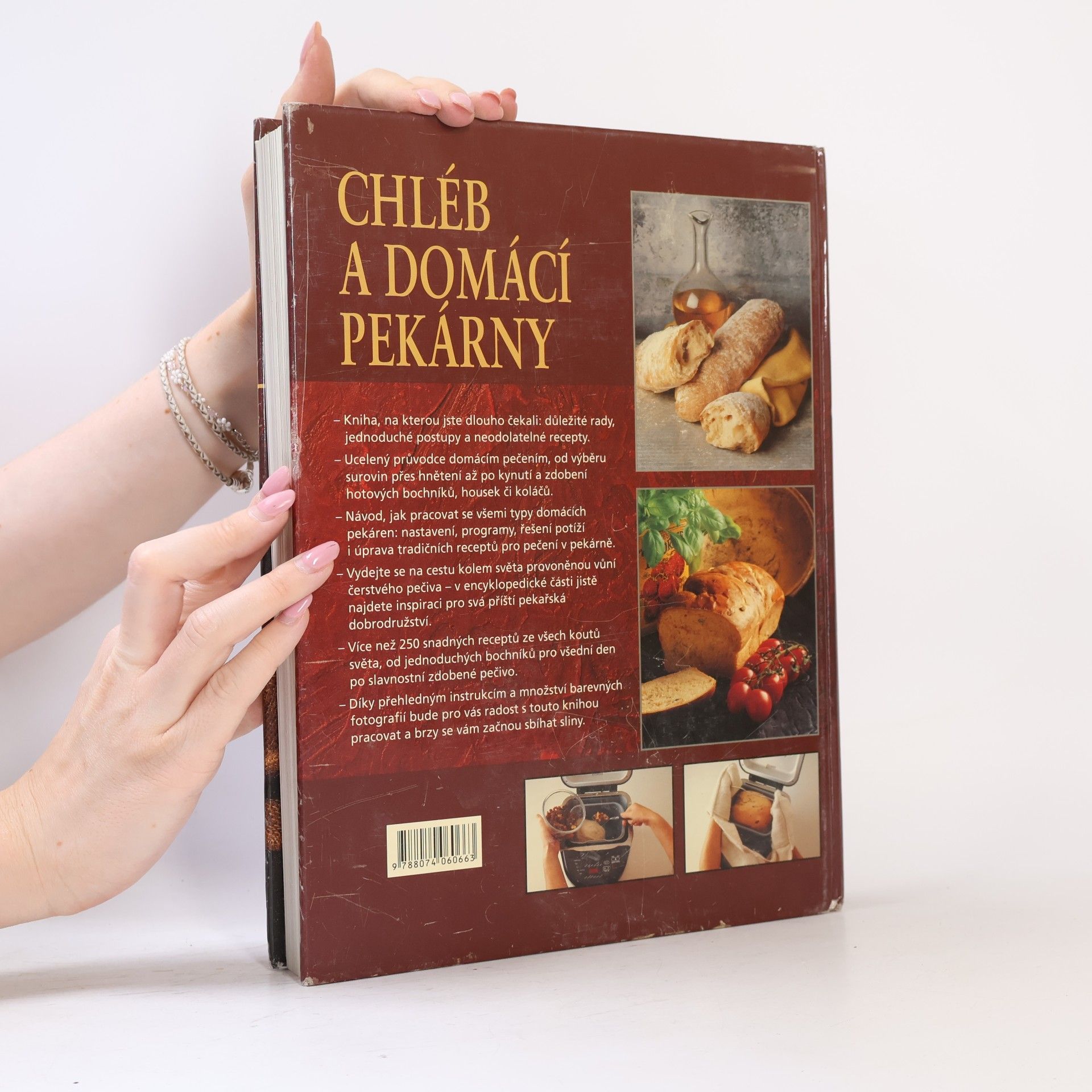Collectif d'auteurs Chléb a domácí pekárny