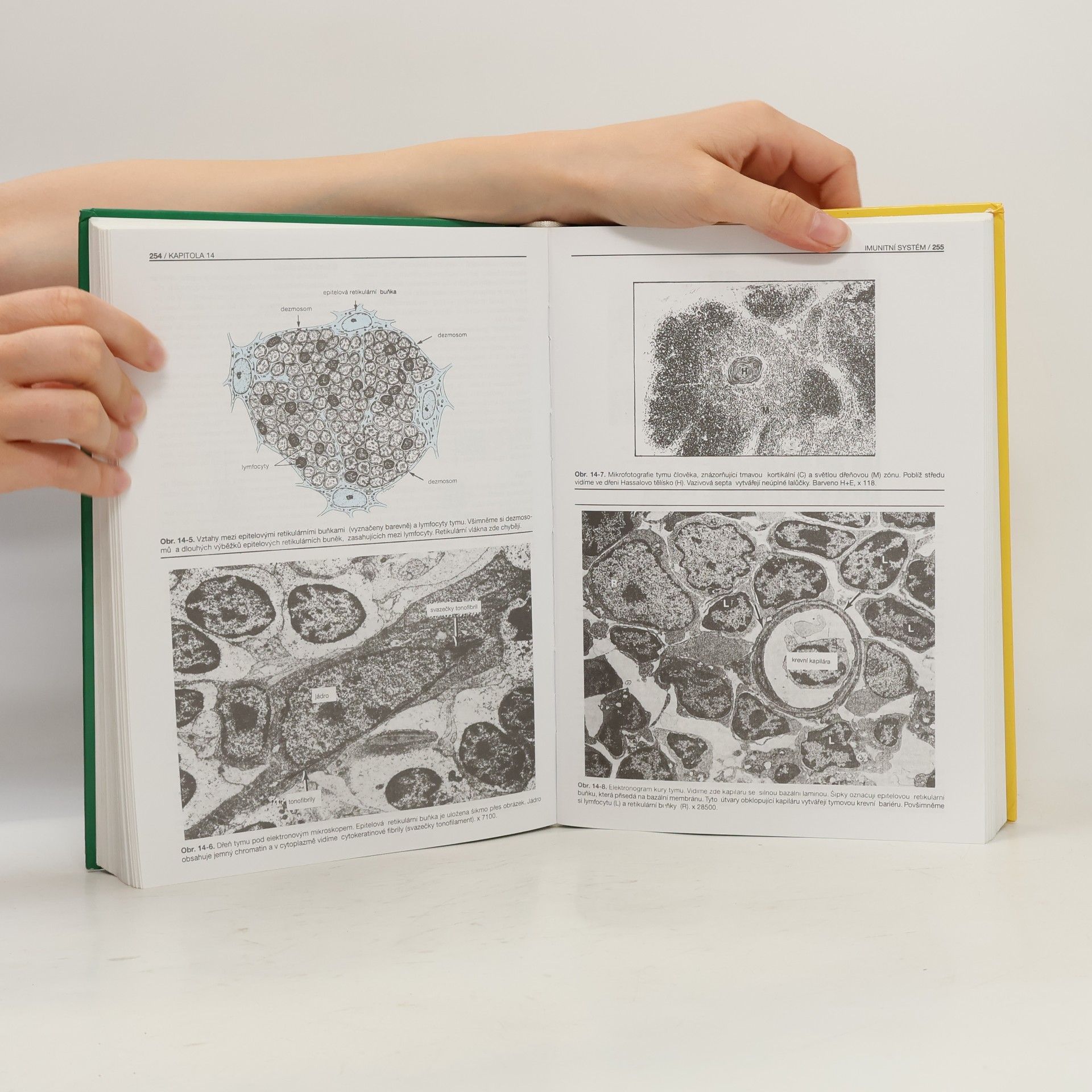 Richard Jelínek Základy histologie