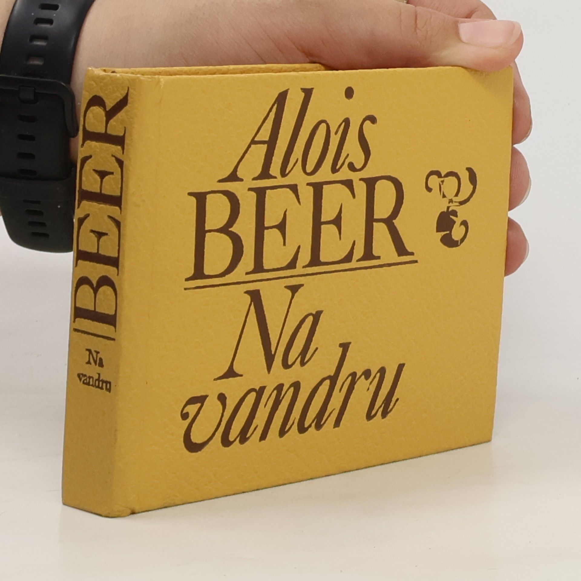 Alois Beer Na vandru