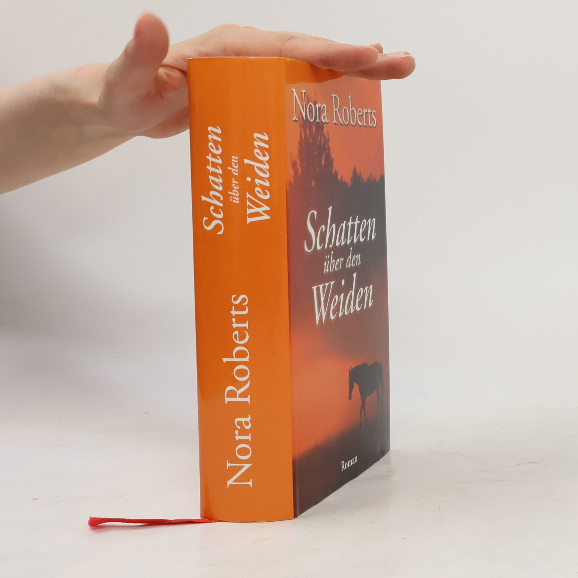 Nora Roberts Schatten über den Weiden