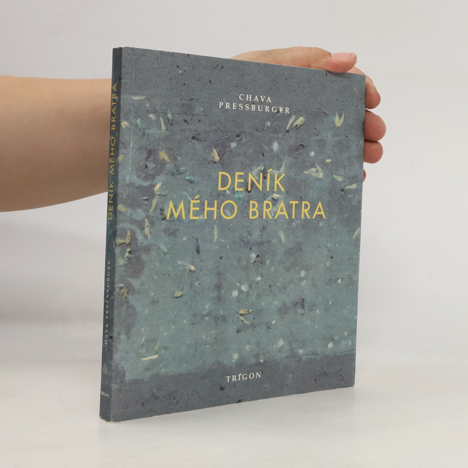 Petr Ginz Deník mého bratra
