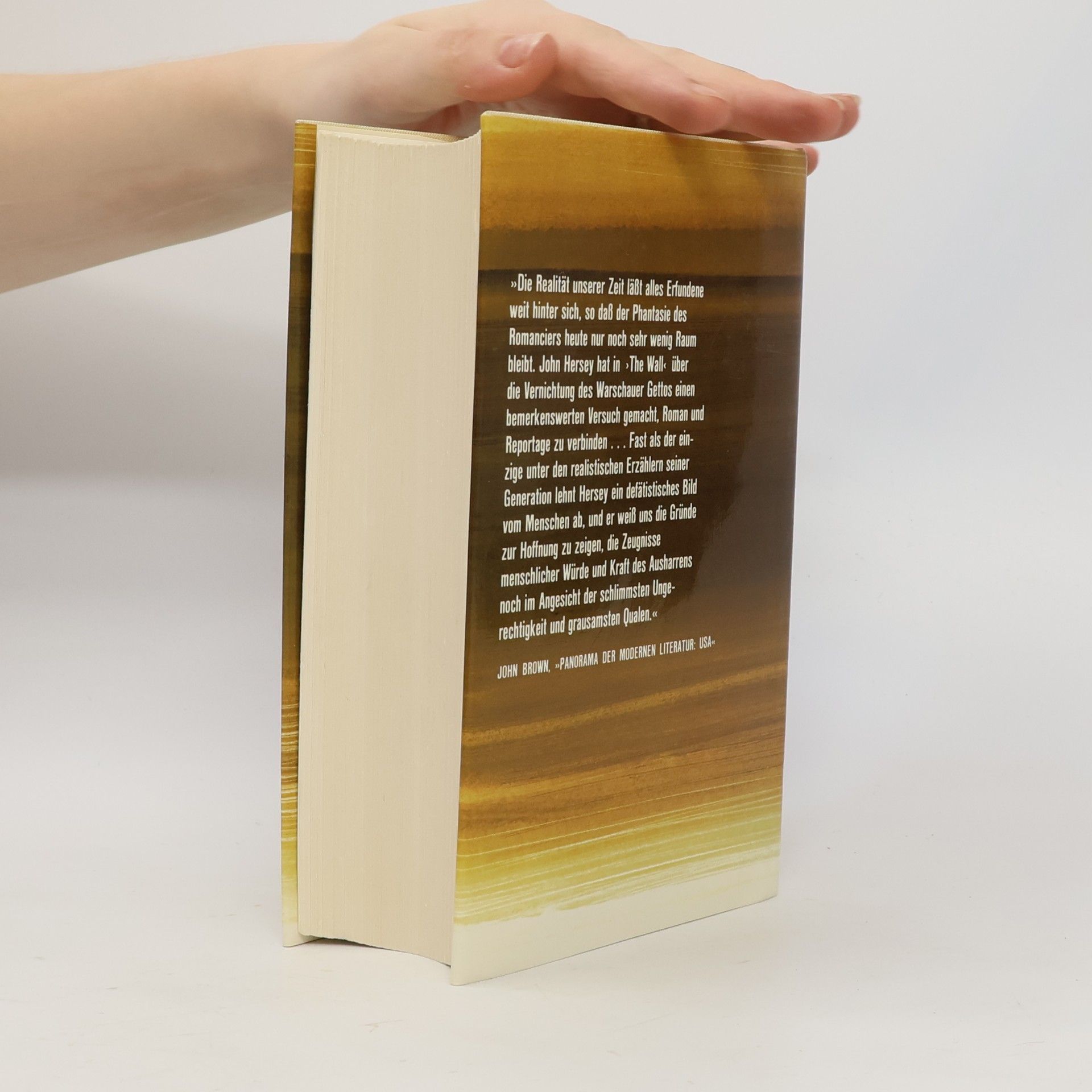John Hersey Der Wall