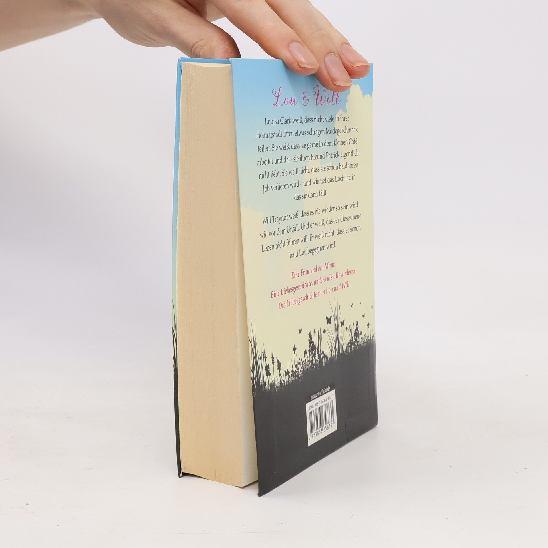 Jojo Moyes Ein ganzes halbes Jahr