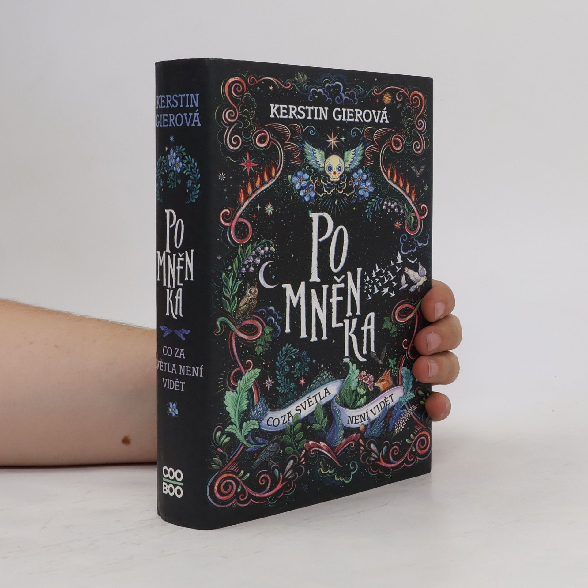 Kerstin Gier Pomněnka : co za světla není vidět