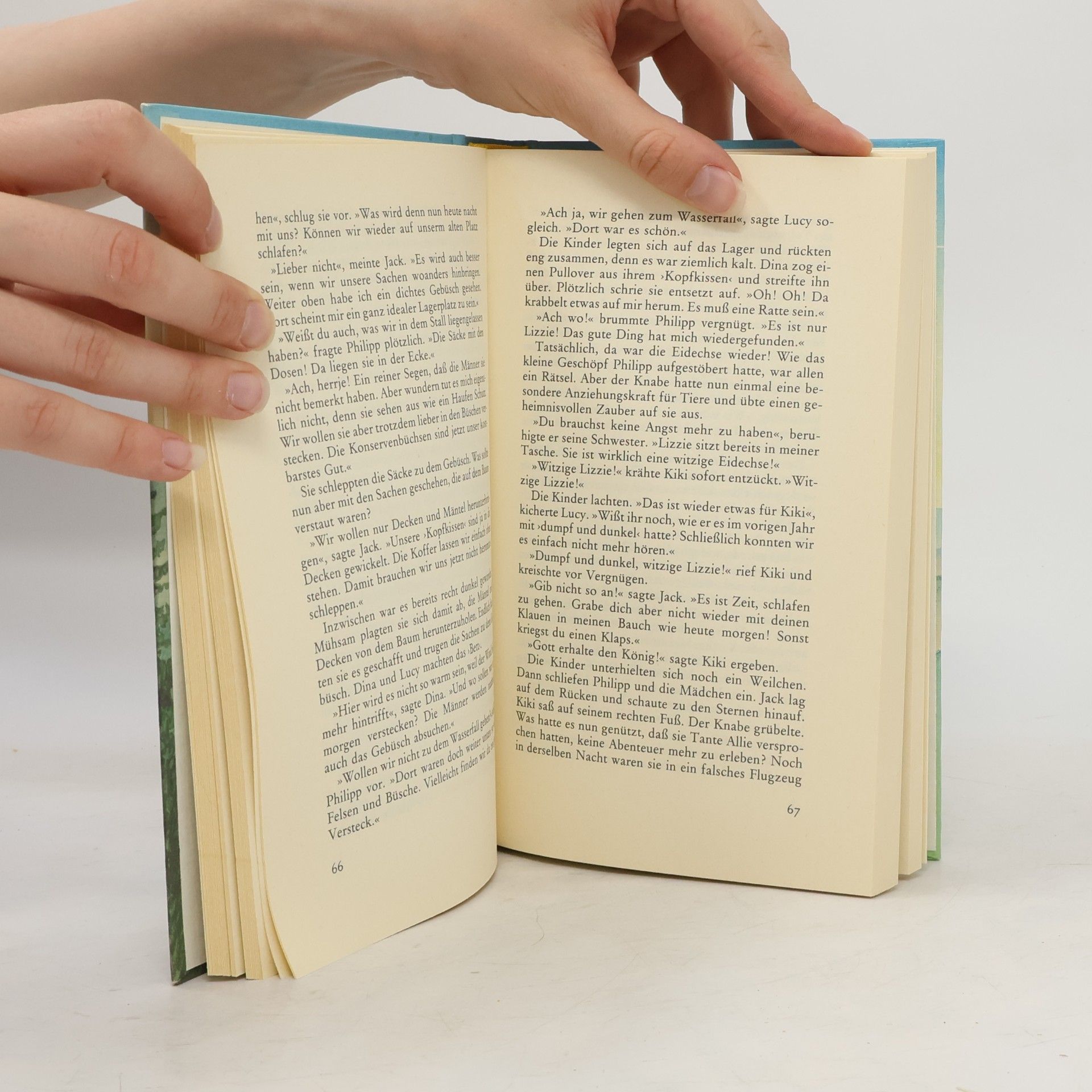 Enid Blyton Das Tal der Abenteuer