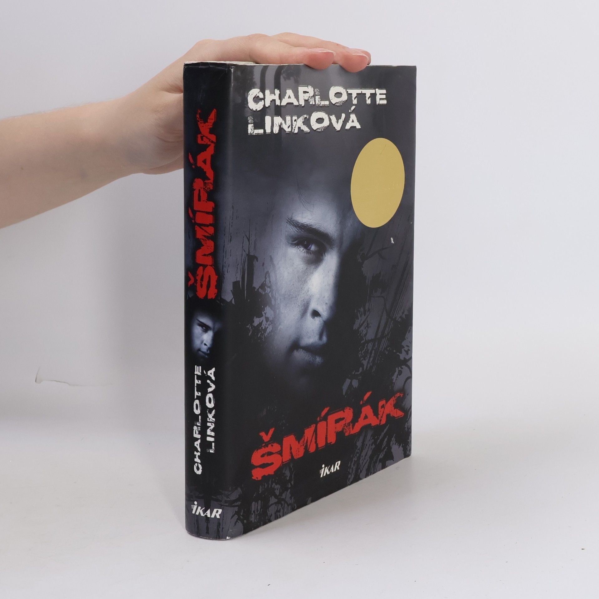 Charlotte Link Šmírák
