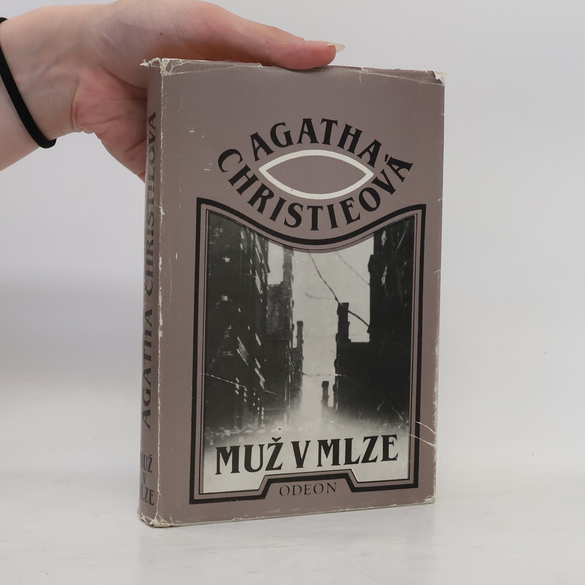 Agatha Christie Muž v mlze