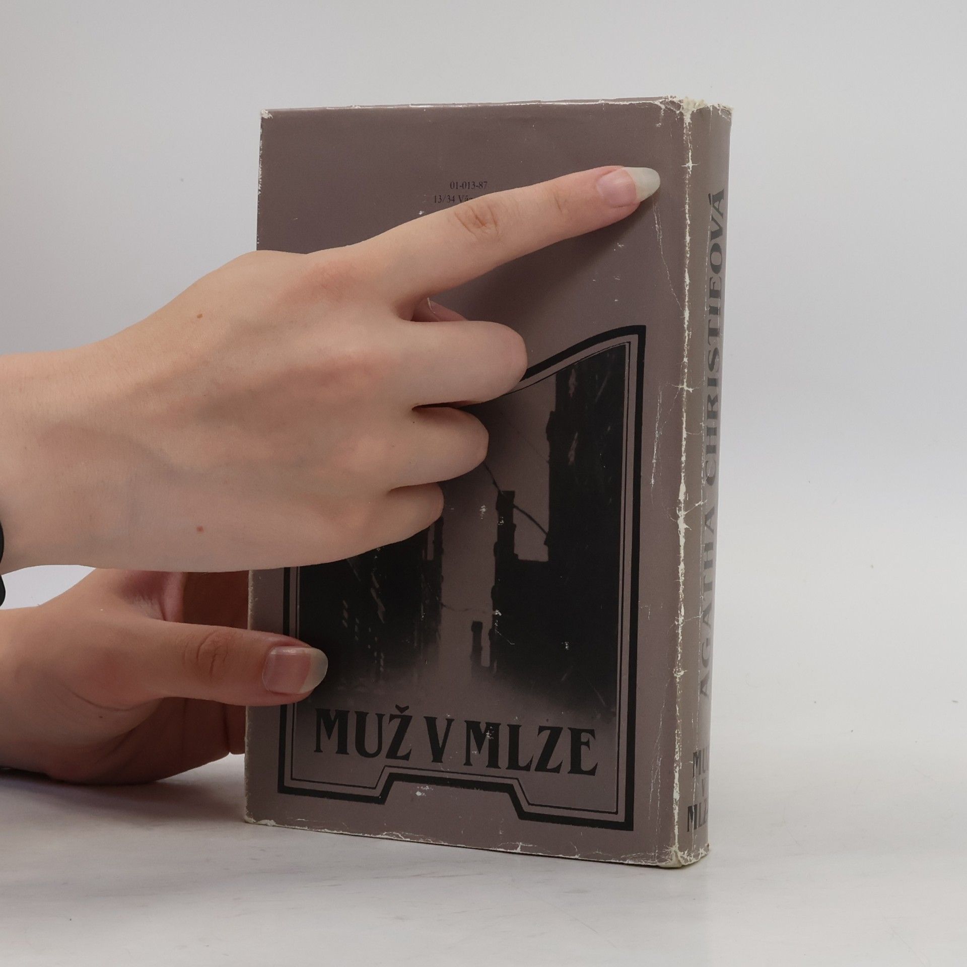 Agatha Christie Muž v mlze