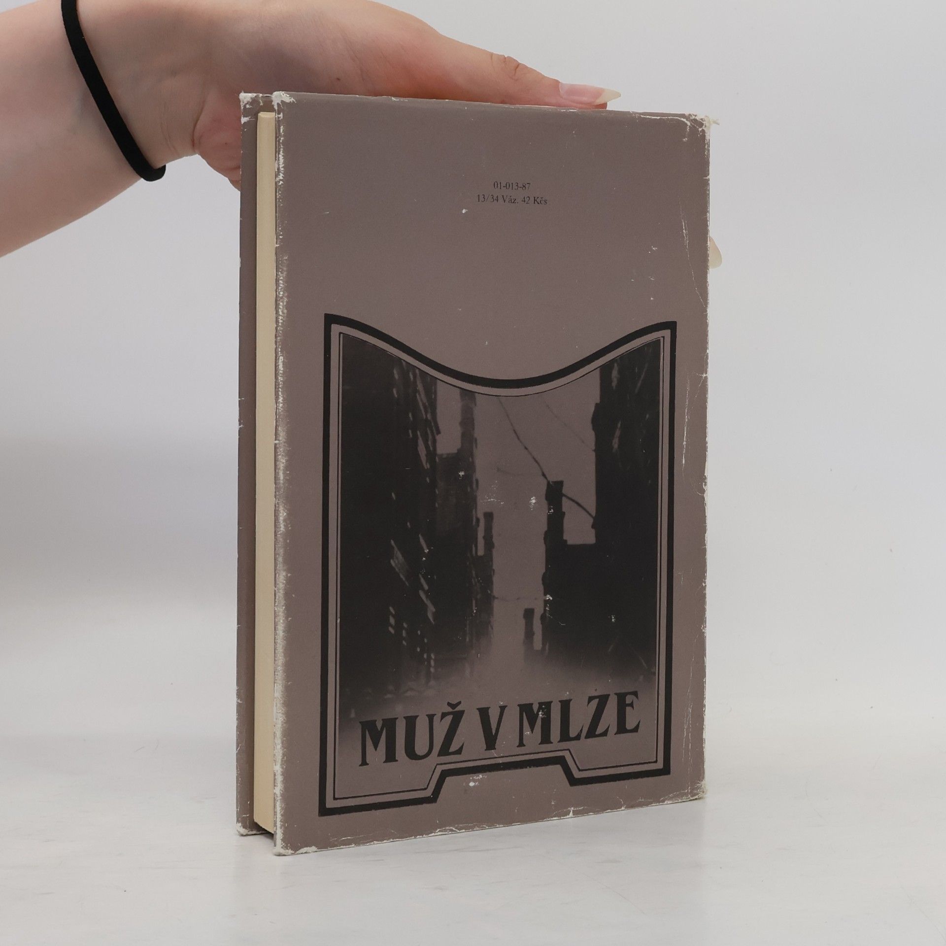 Agatha Christie Muž v mlze