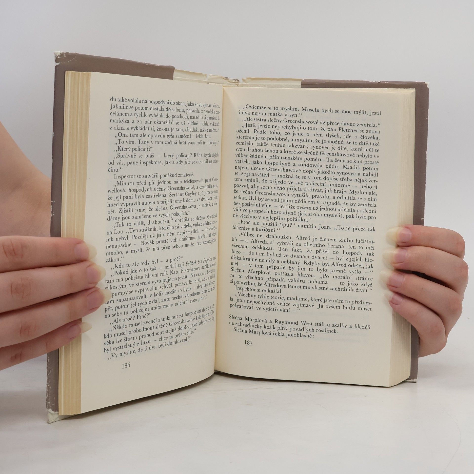Agatha Christie Muž v mlze