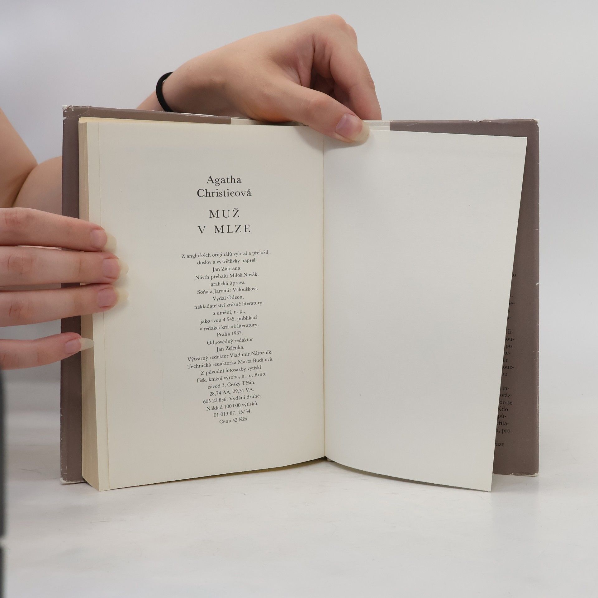 Agatha Christie Muž v mlze