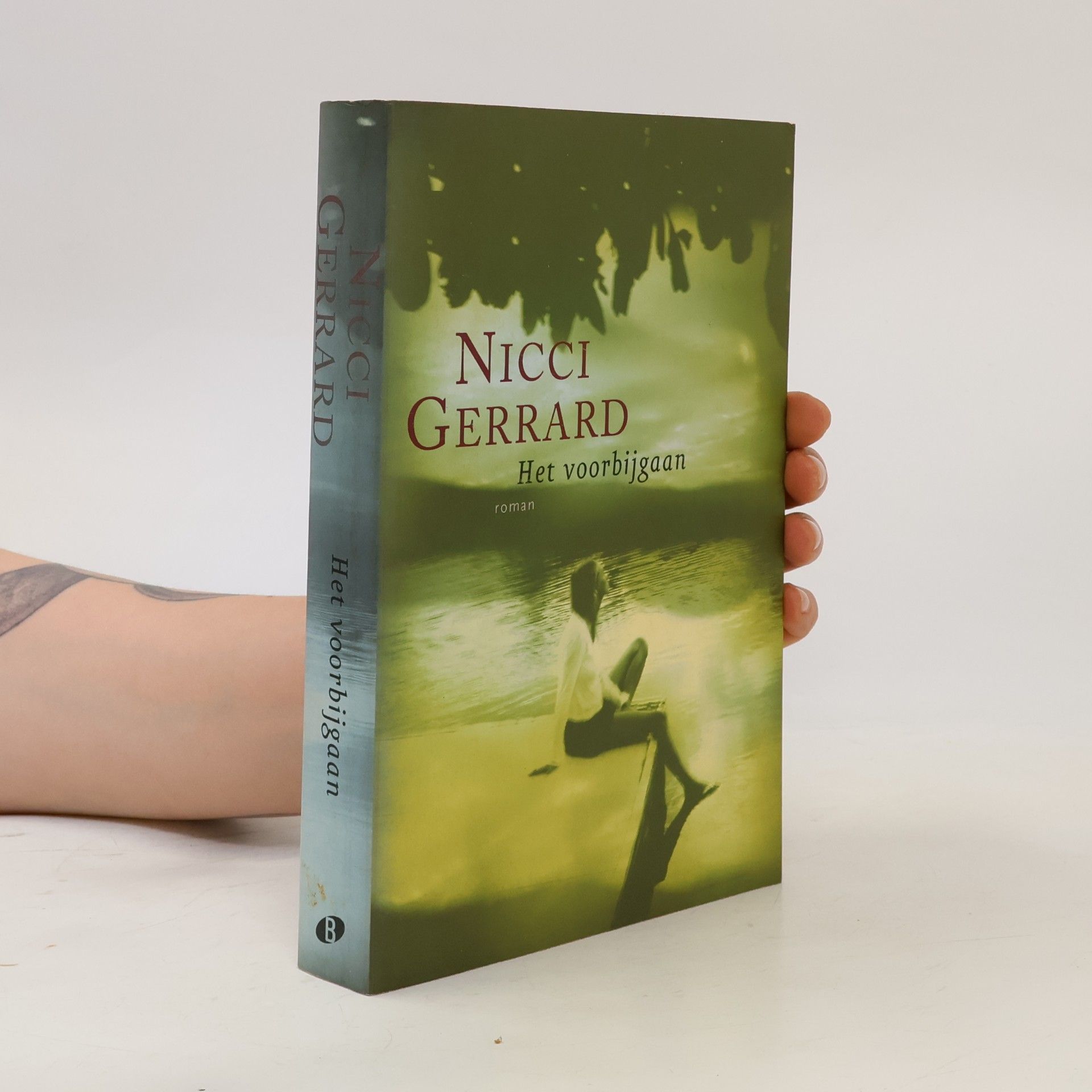 Nicci Gerrard Het voorbijgaan