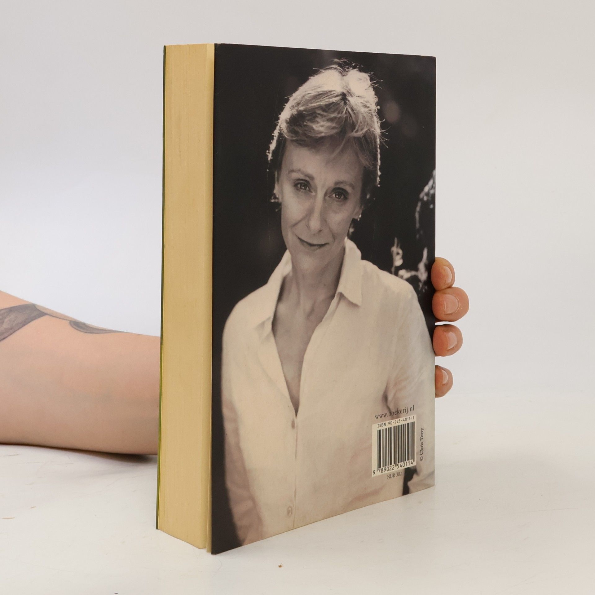 Nicci Gerrard Het voorbijgaan