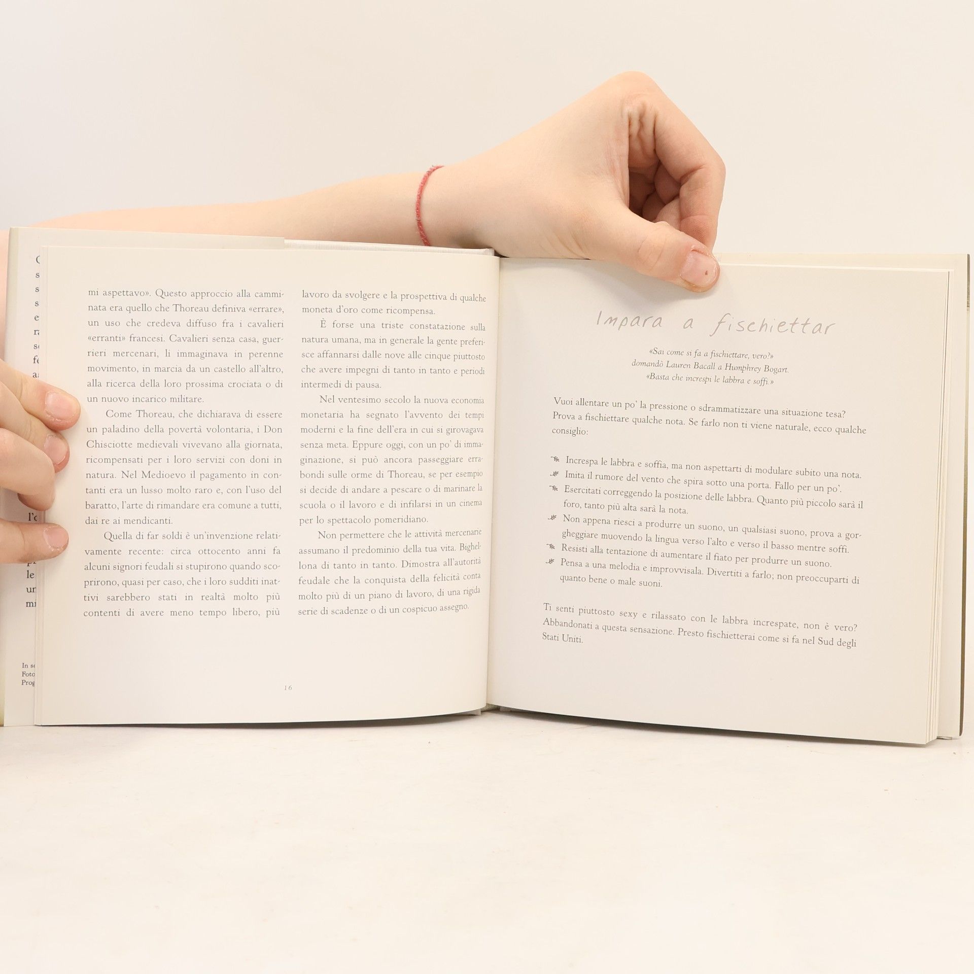 Veronique Vienne L'arte di non far nulla