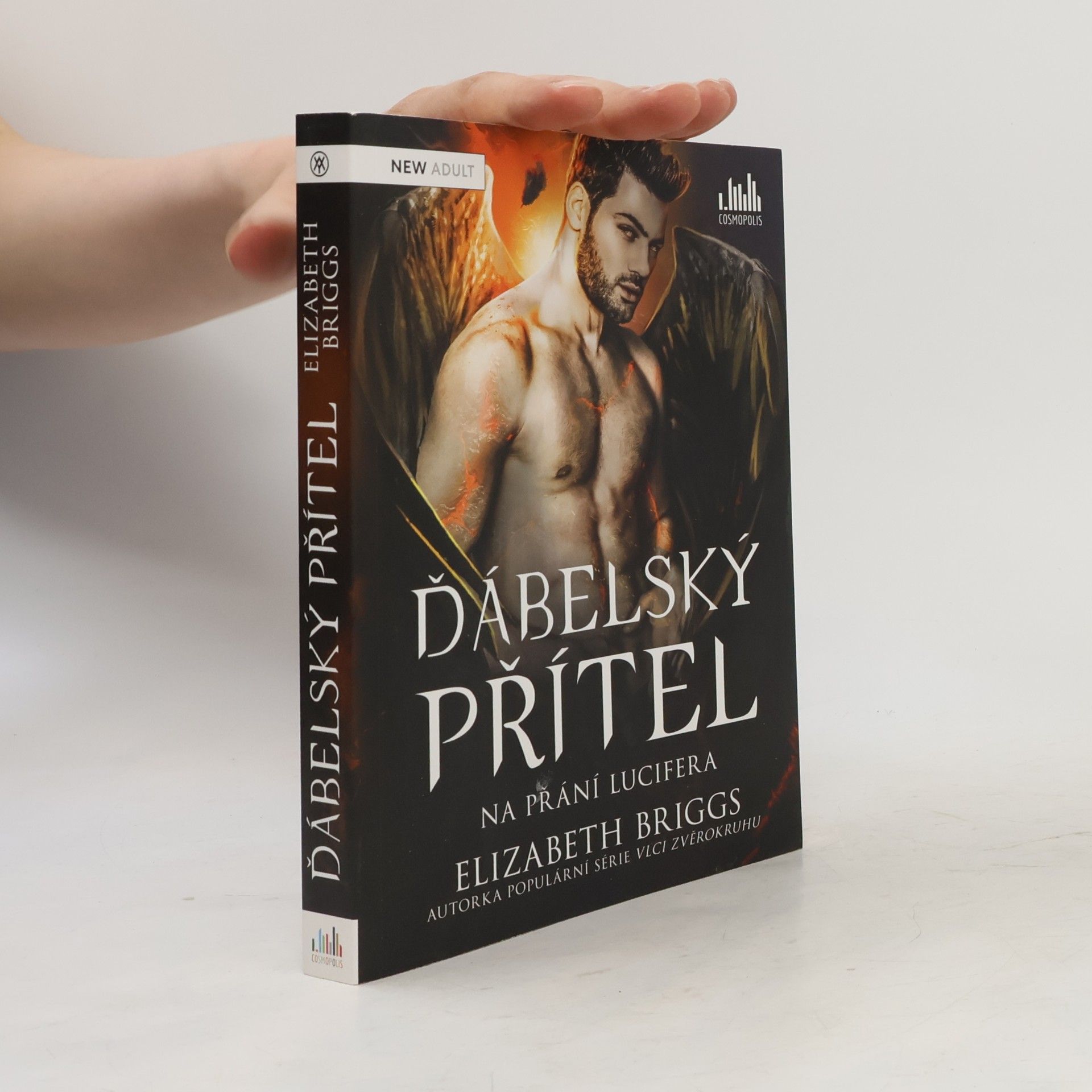 Elizabeth Briggs Ďábelský přítel. Na přání Lucifera