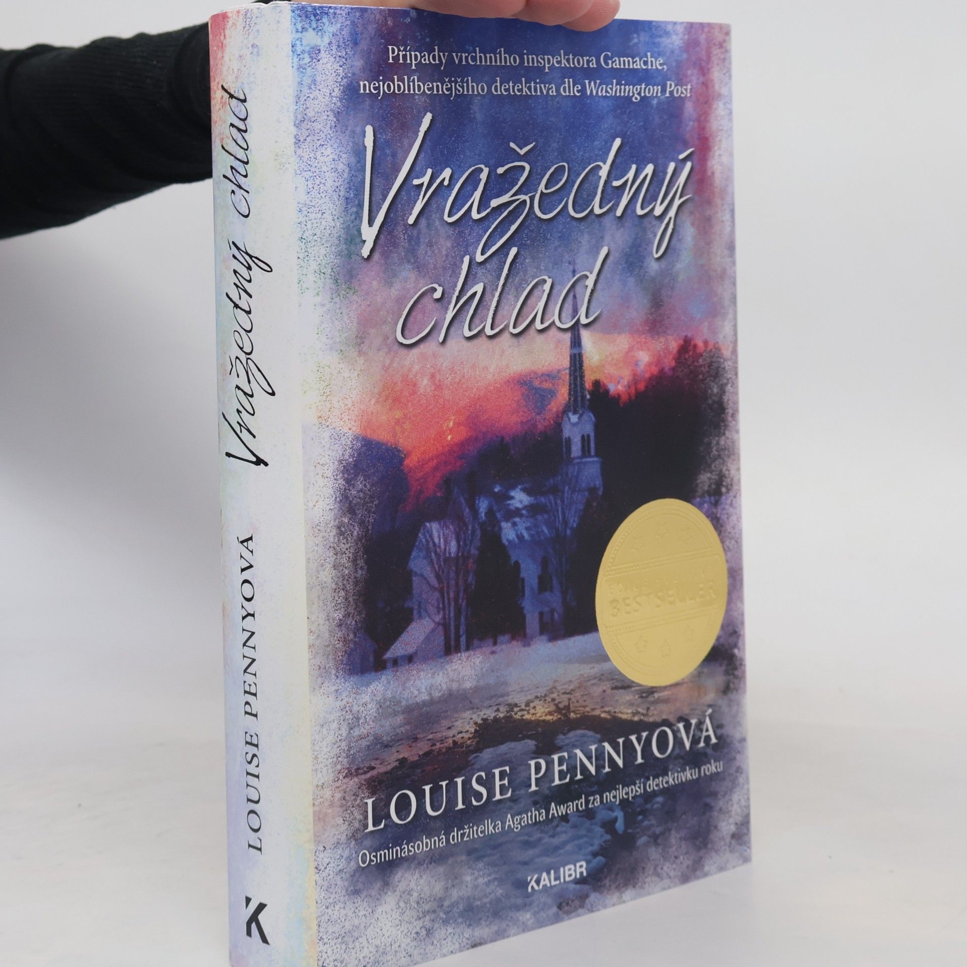Louise Penny Vražedný chlad