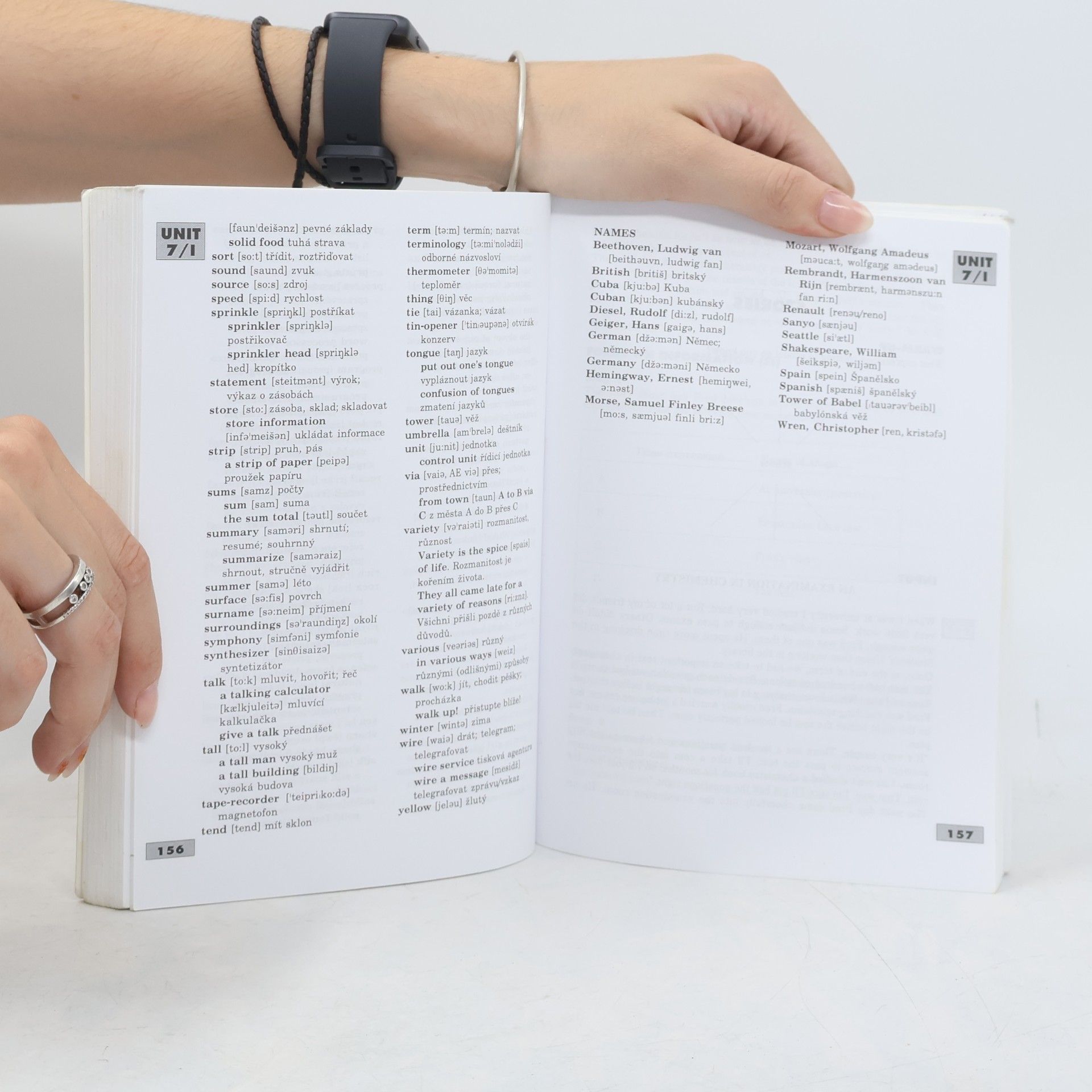 Strnadová Zdenka Professional English Book 1