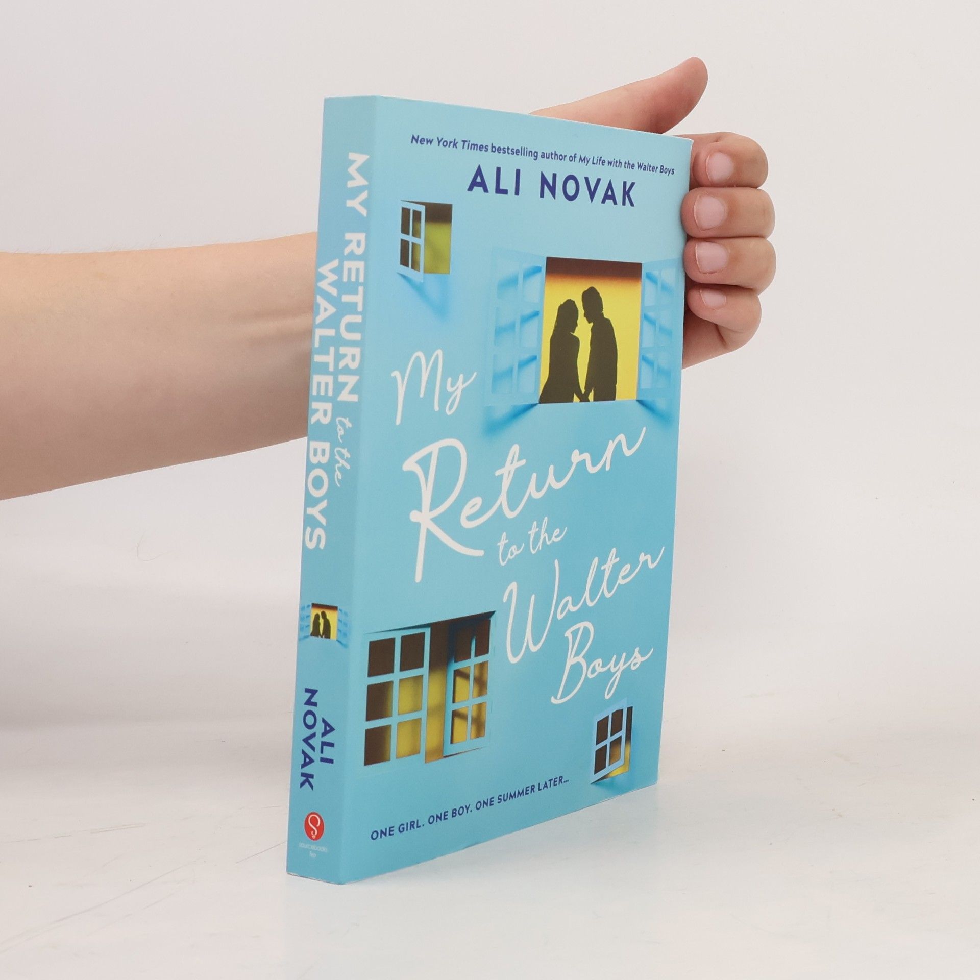 Ali Novak My Return to the Walter Boys