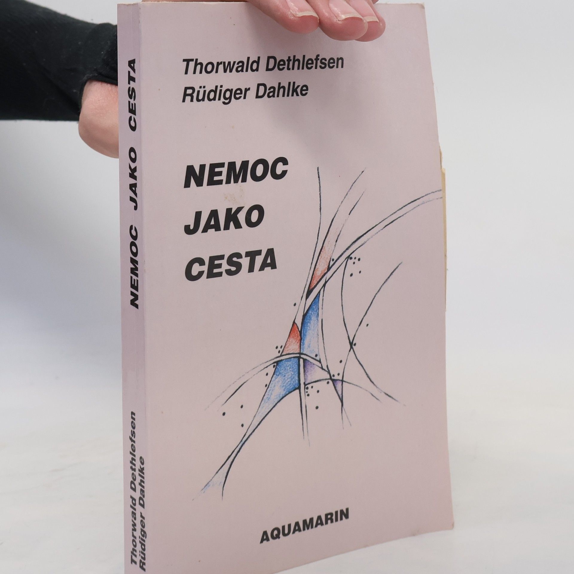 Thorwald Dethlefsen Nemoc jako cesta