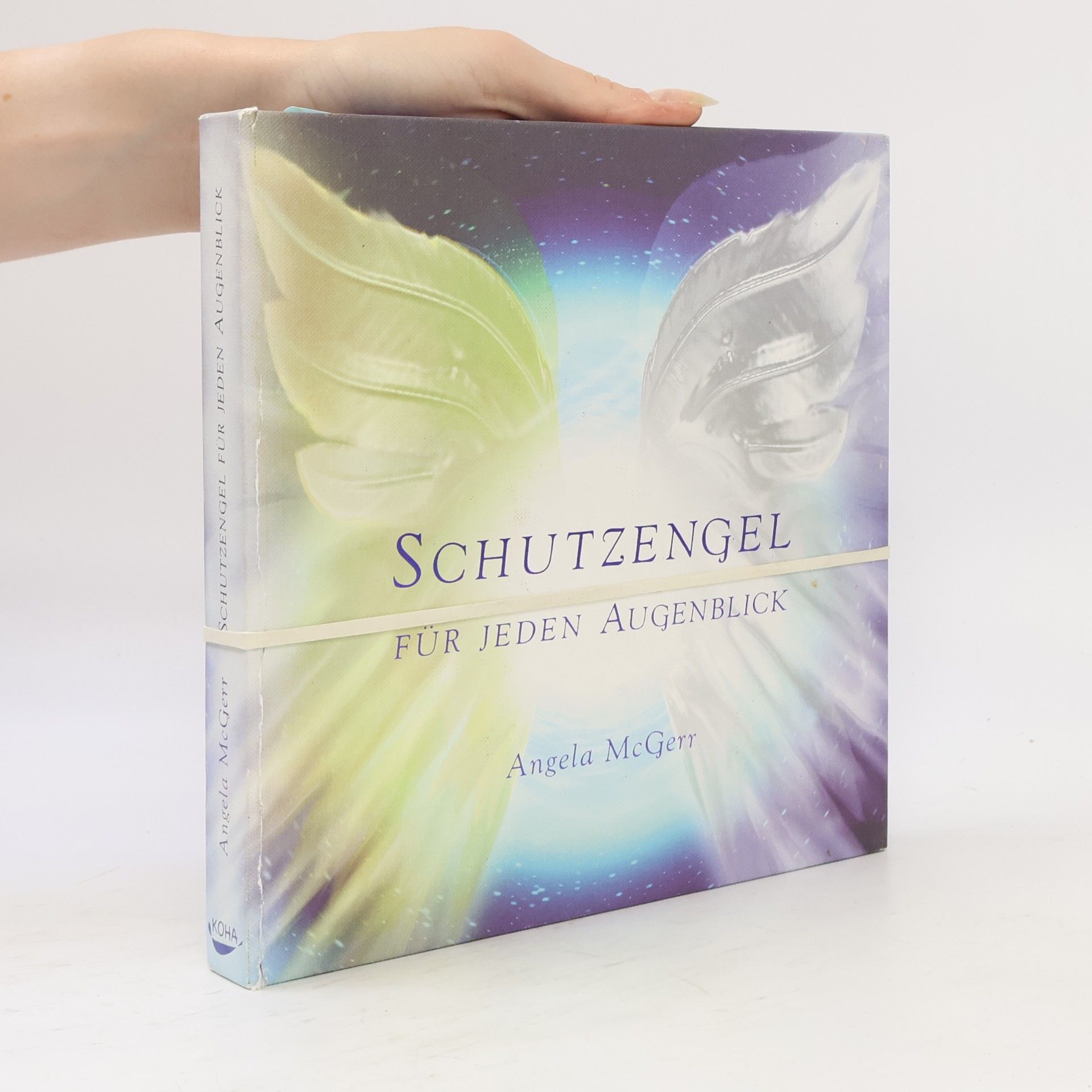 Angela McGerr Schutzengel für jeden Augenblick