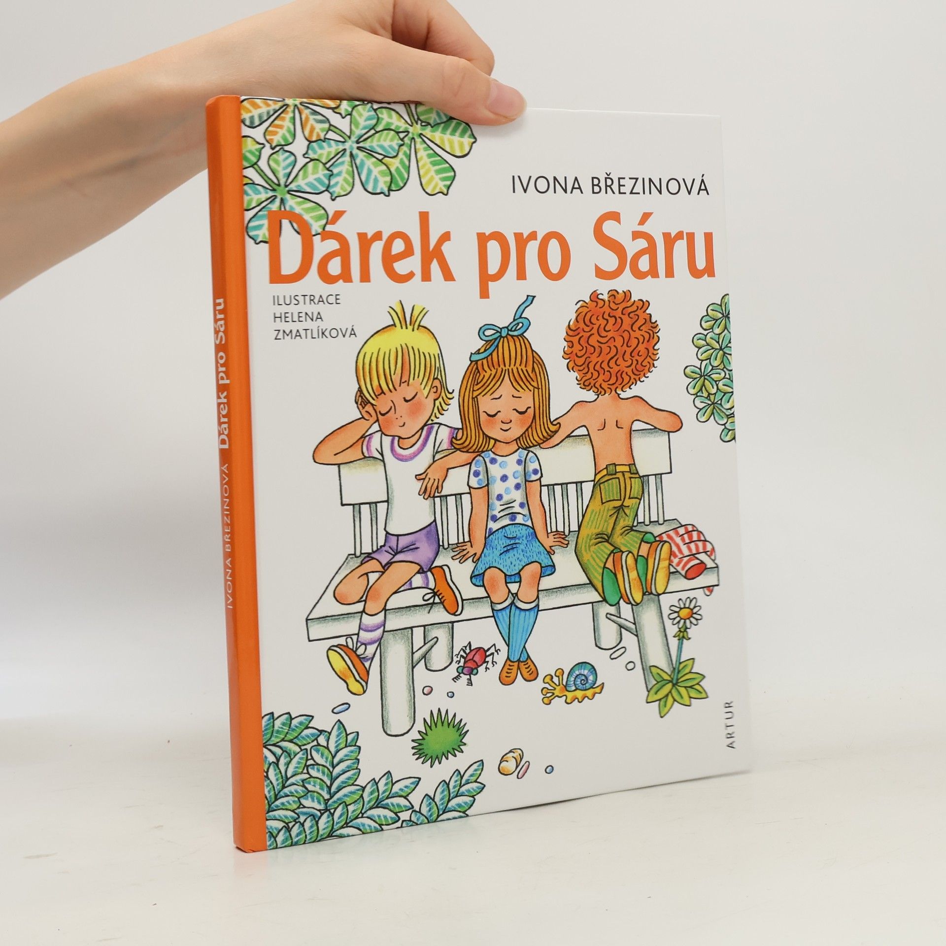 Ivona Březinová Dárek pro Sáru