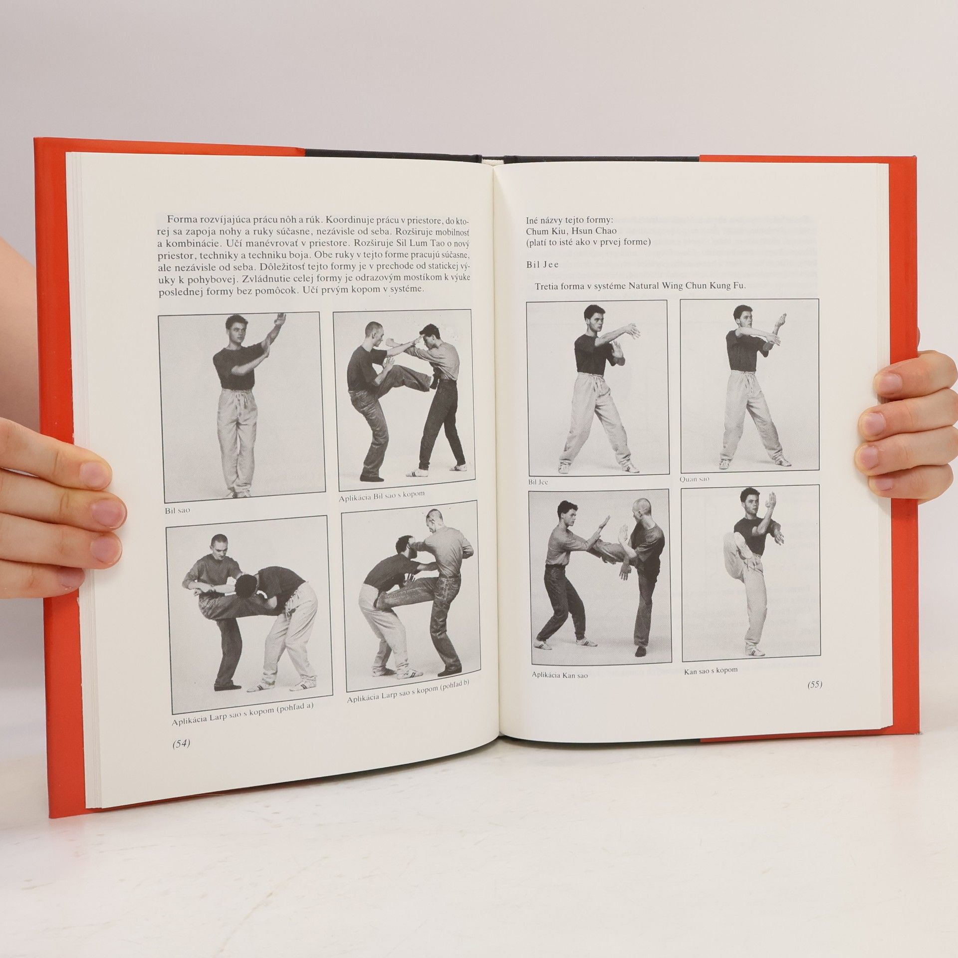Svetozár Prochotský Natural Wing Chun Kung Fu