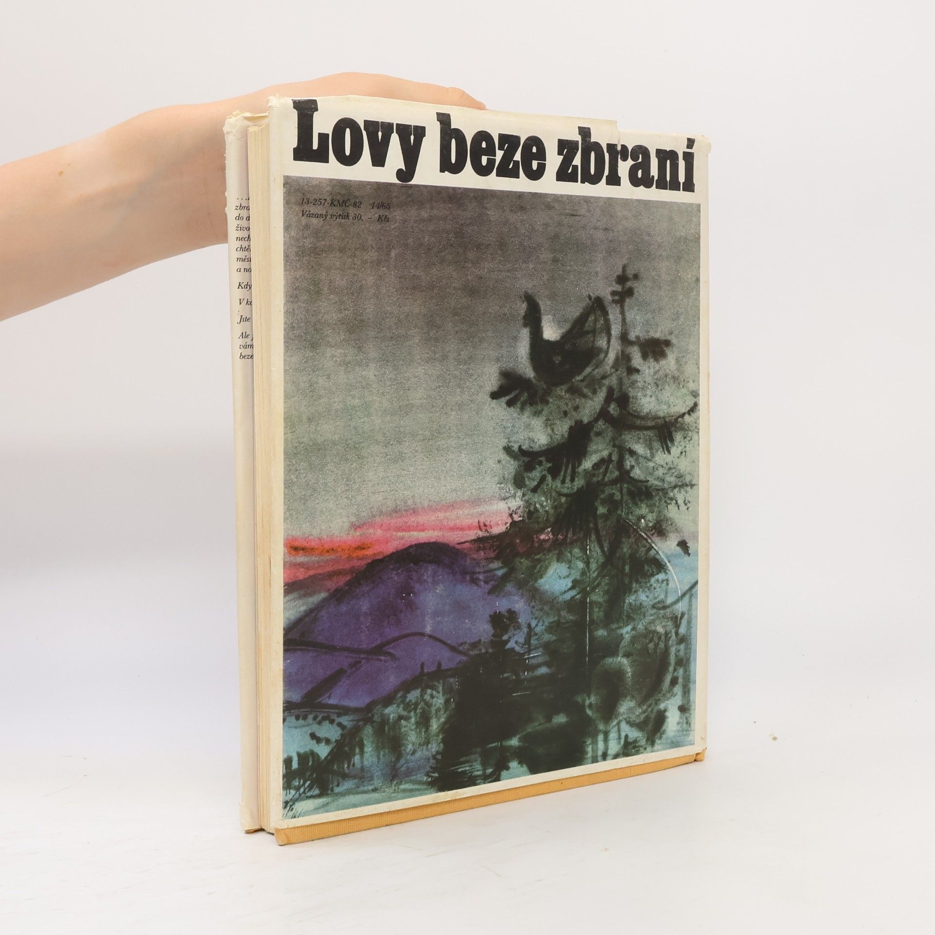 Jaromír Tomeček Lovy beze zbraní