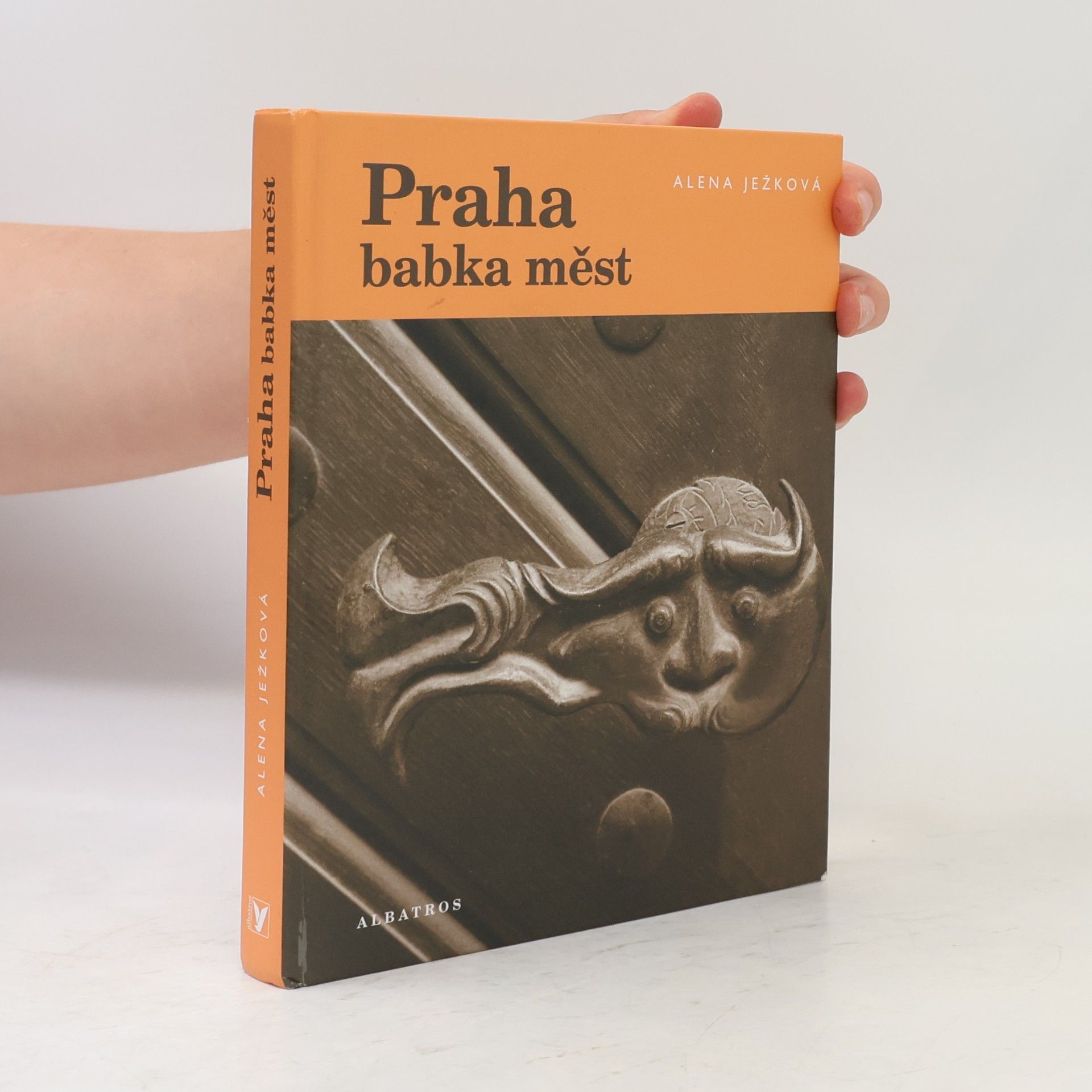 Alena Ježková Praha babka měst