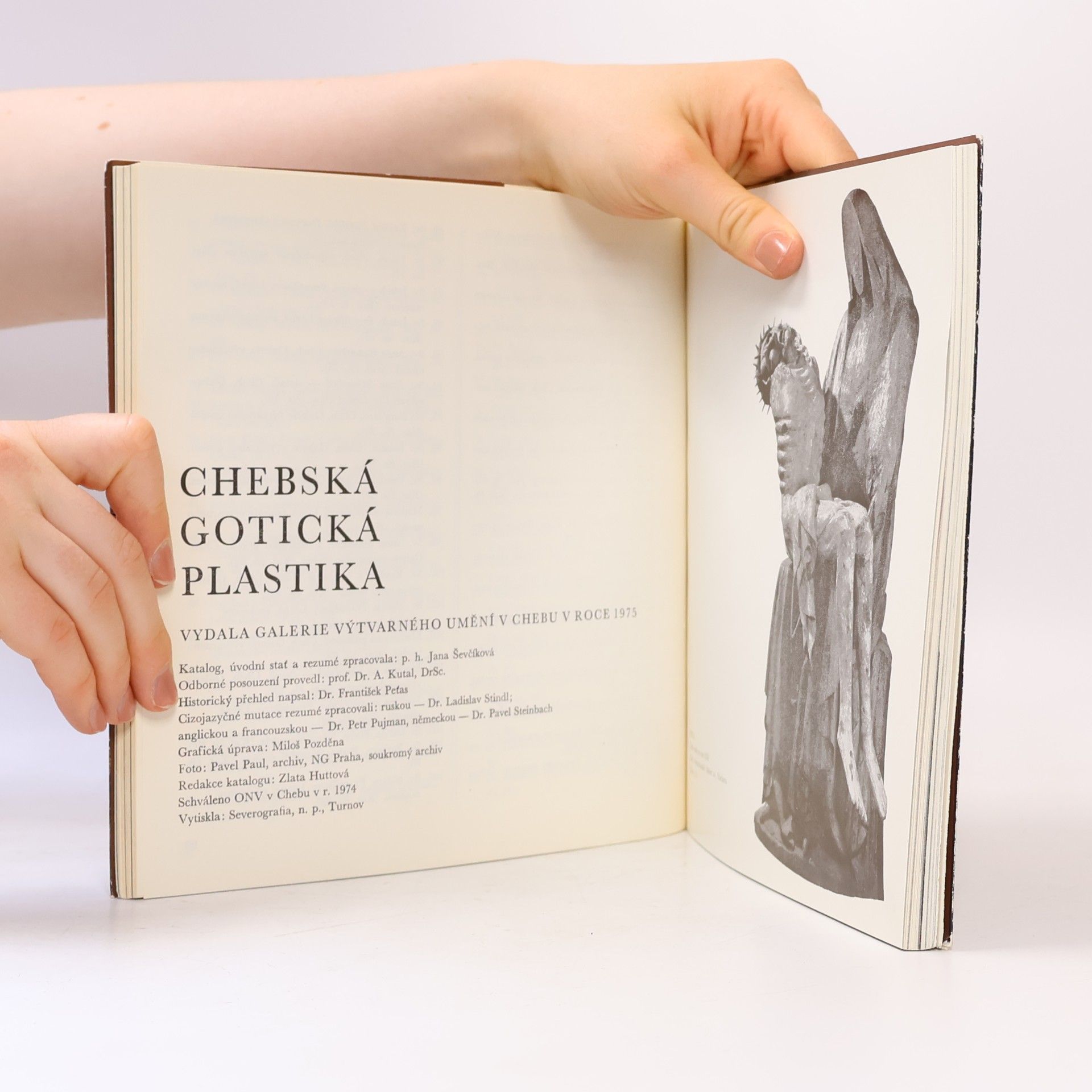 Kolektiv autorů Chebská gotická plastika