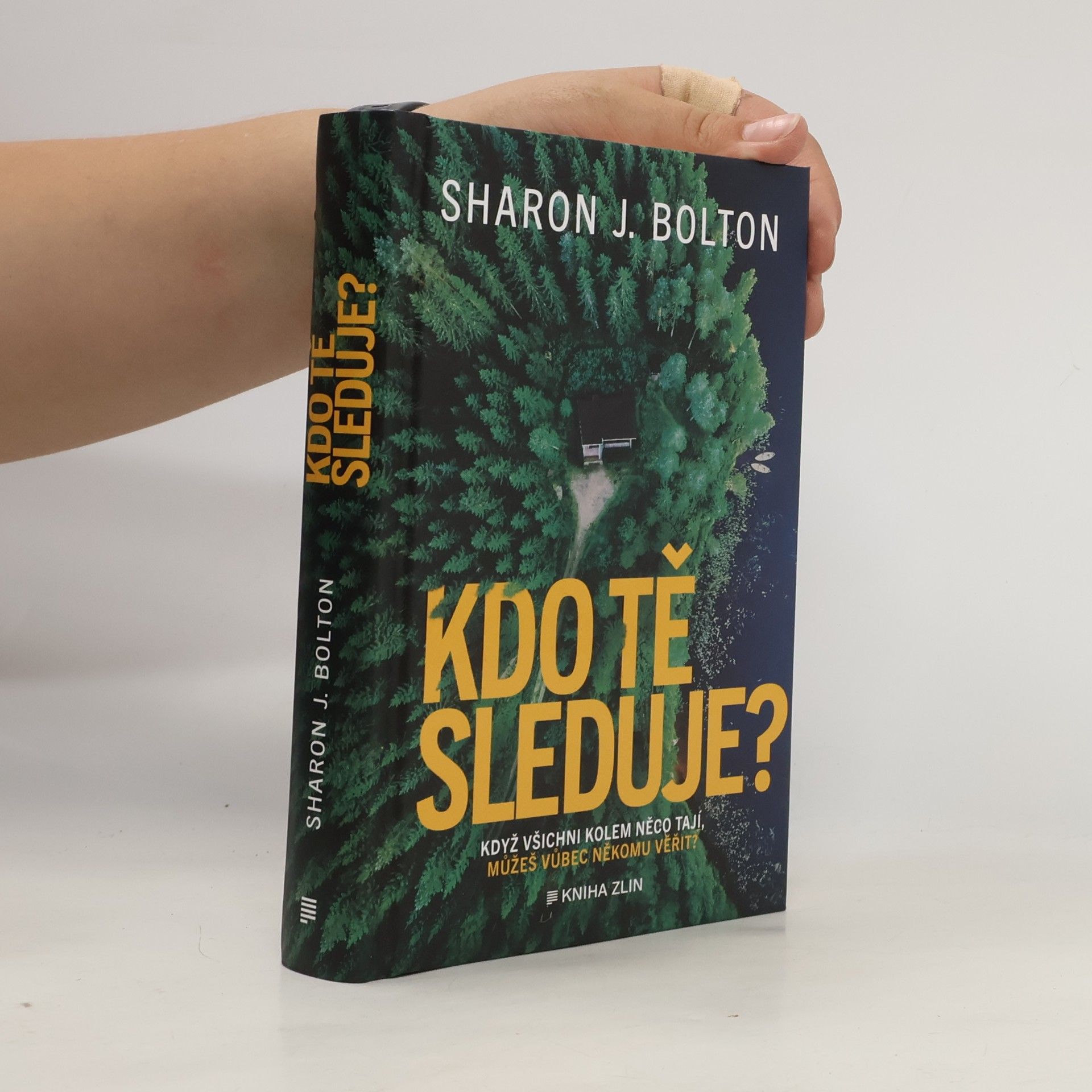 S. J. Bolton Kdo tě sleduje?