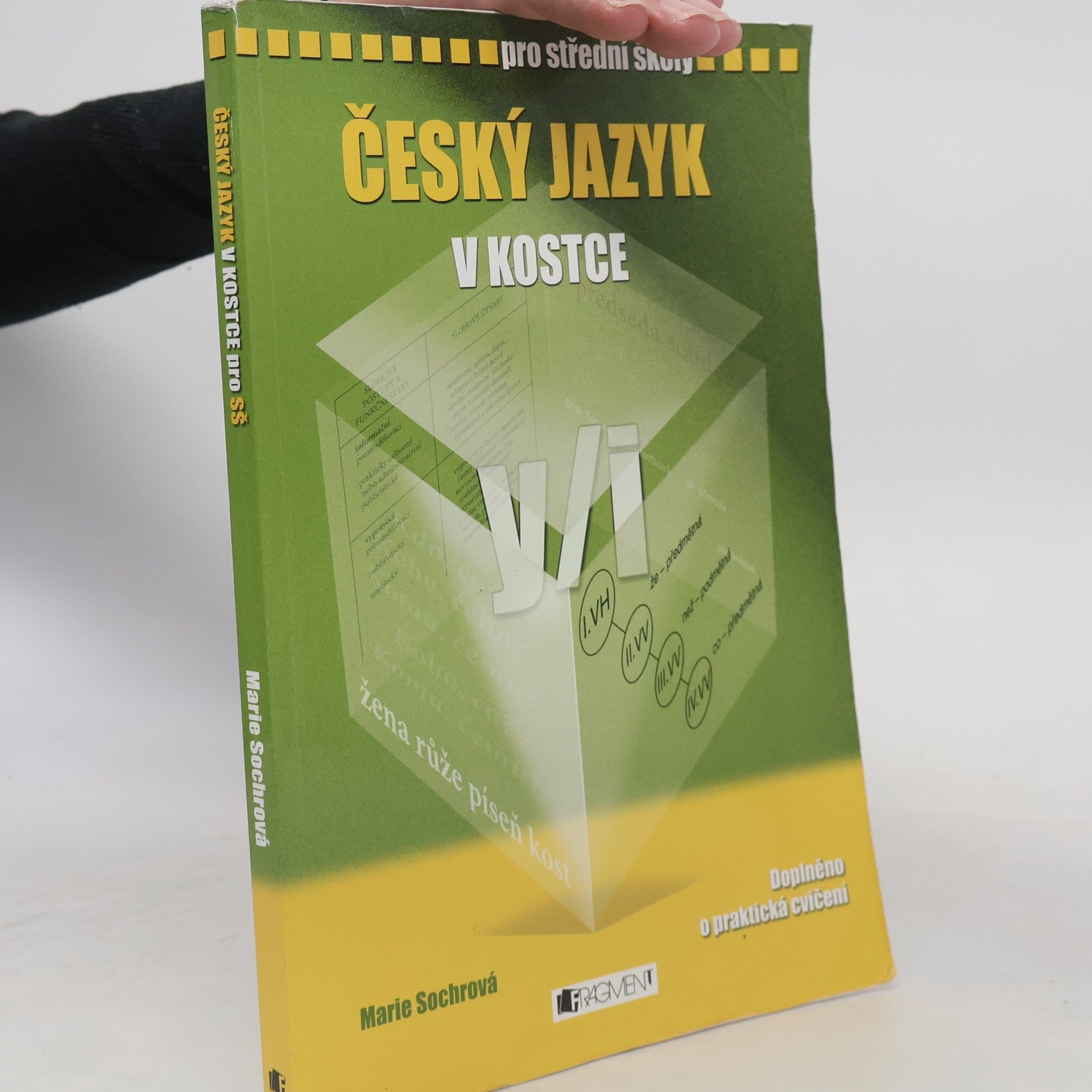 Marie Sochrová Český jazyk v kostce : pro střední školy