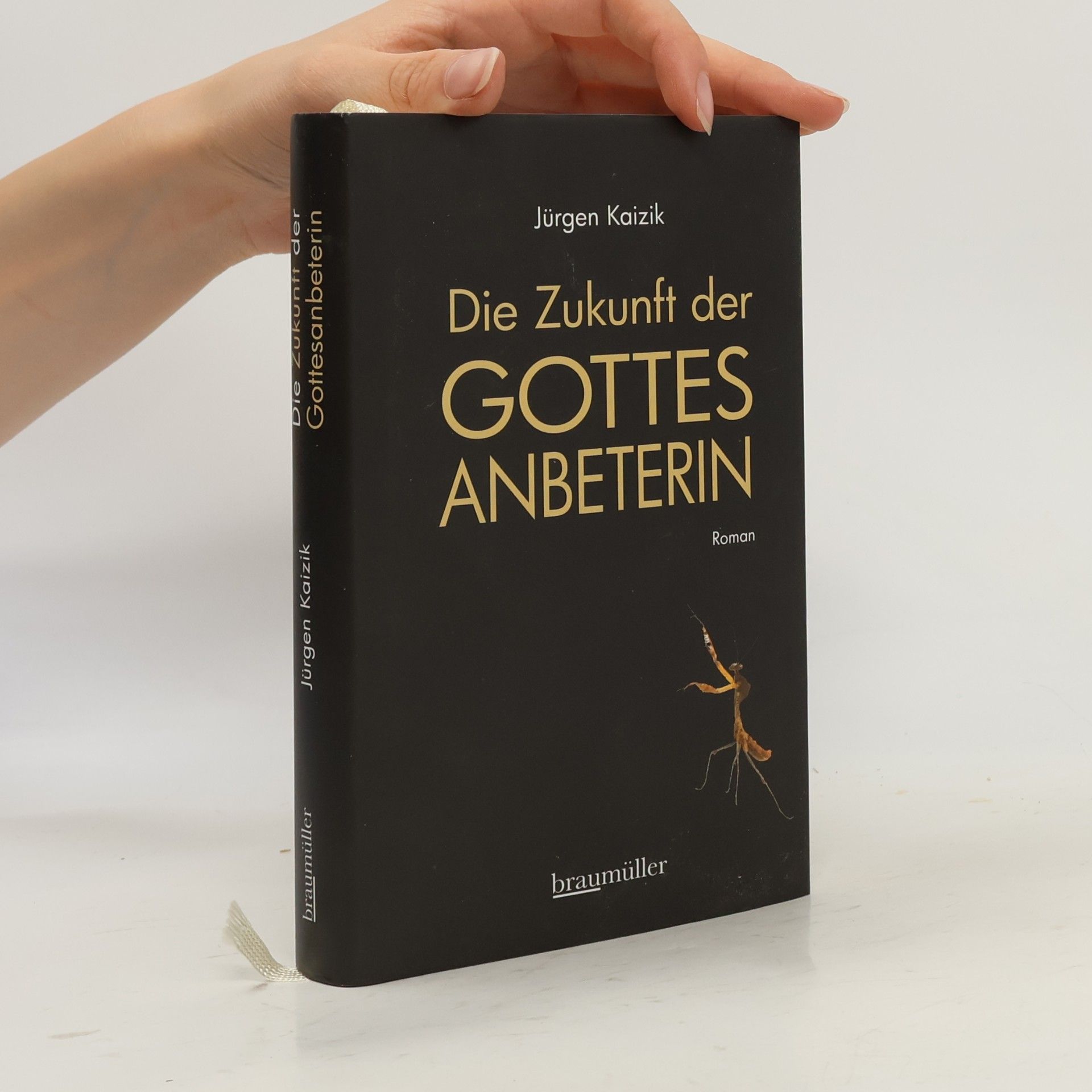 Jürgen Kaizik Die Zukunft der Gottesanbeterin